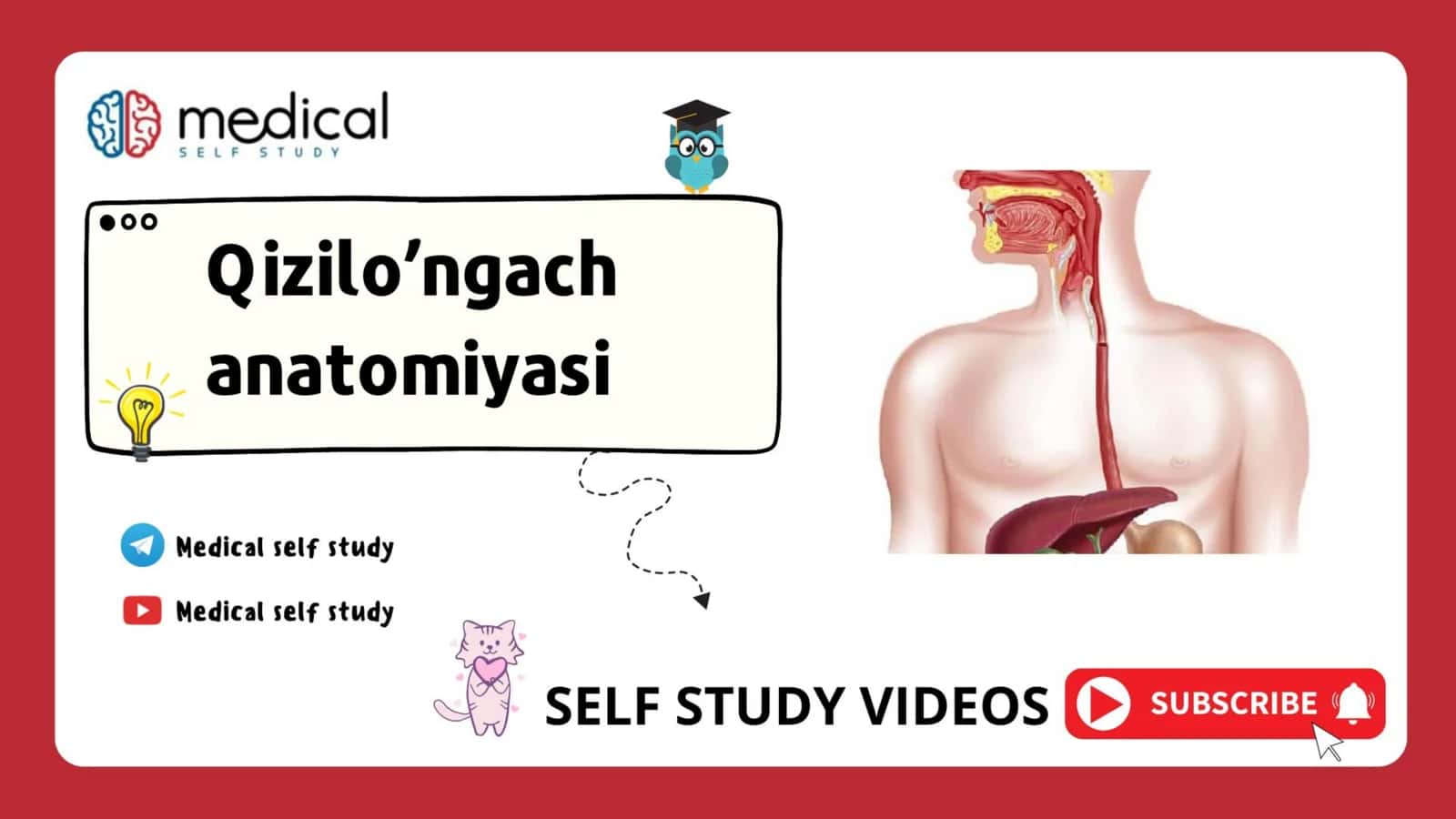 Qizilo’ngach - oesophagus 1