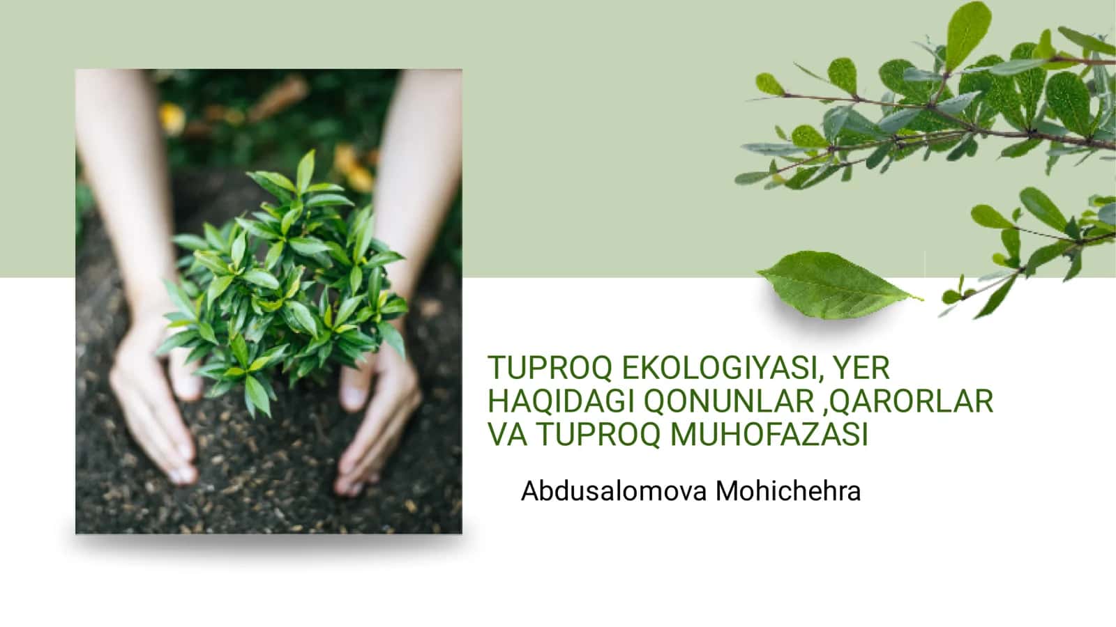 TUPROQ EKOLOGIYASI, YER HAQIDAGI QONUNLAR,QARORLAR VA TUPROQ MUHOFAZASI 1