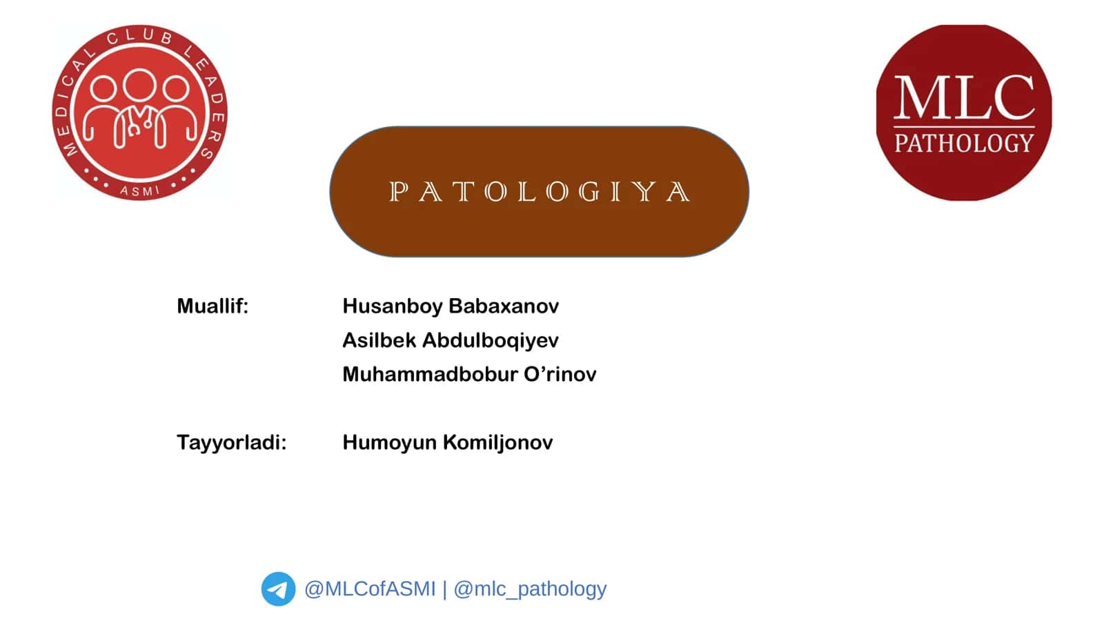 Muallif: Husanboy Babaxanov, Asilbek Abdulboqiyev, Muhammadbobur O’rinov 1