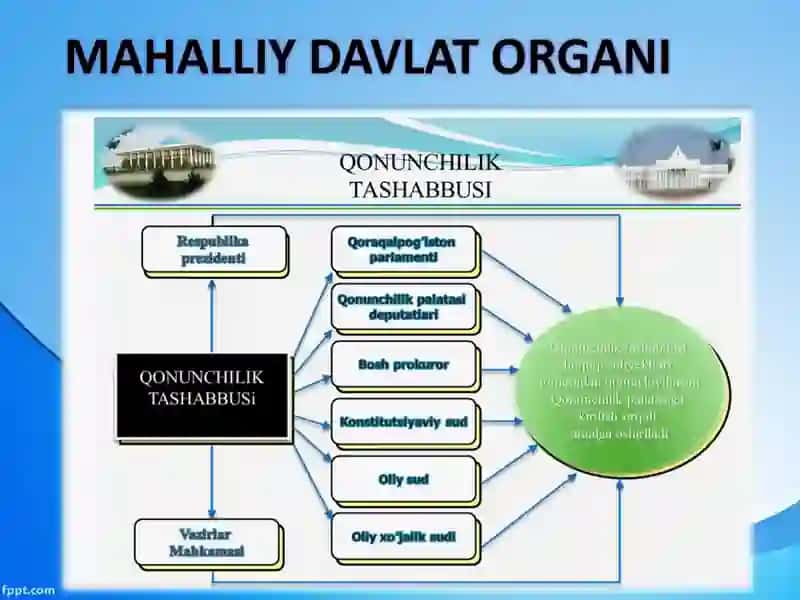 Mahalliy Davlat Organi