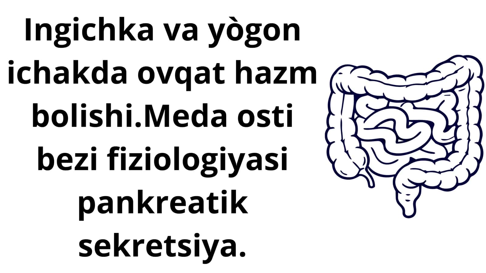 Ingichka va yògon ichak 1