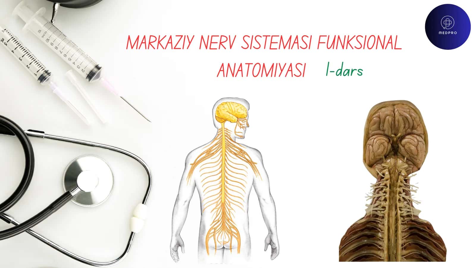 MARKAZIY NERV SISTEMASI FUNKSIONAL ANATOMIYASI 1-dars 1