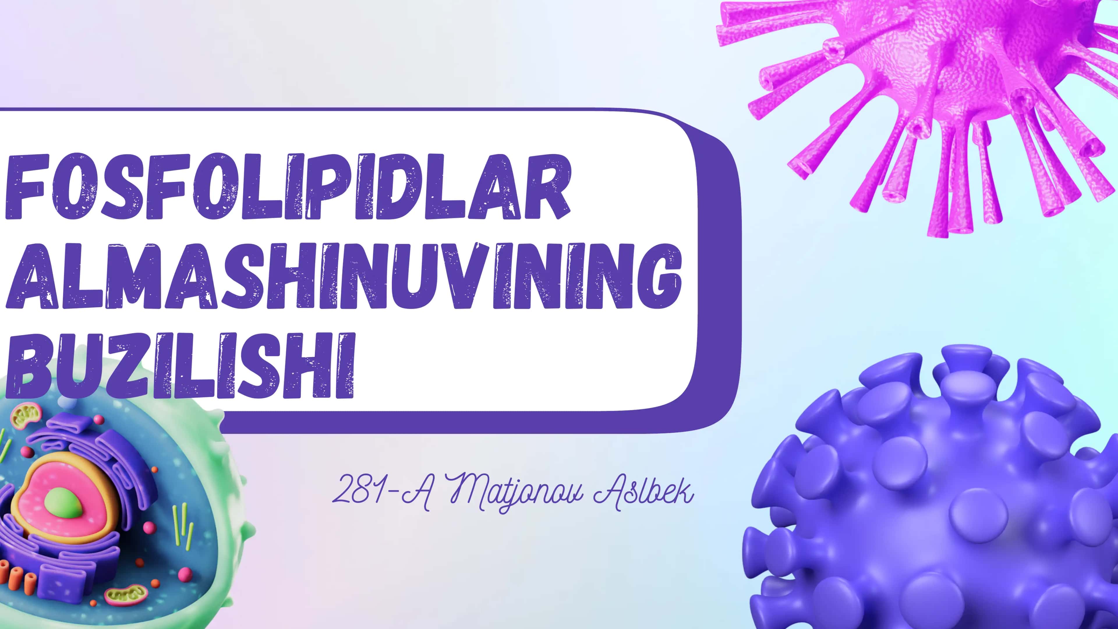FOSFOLIPIDLAR ALMASHINUVINING BUZILISHI 1