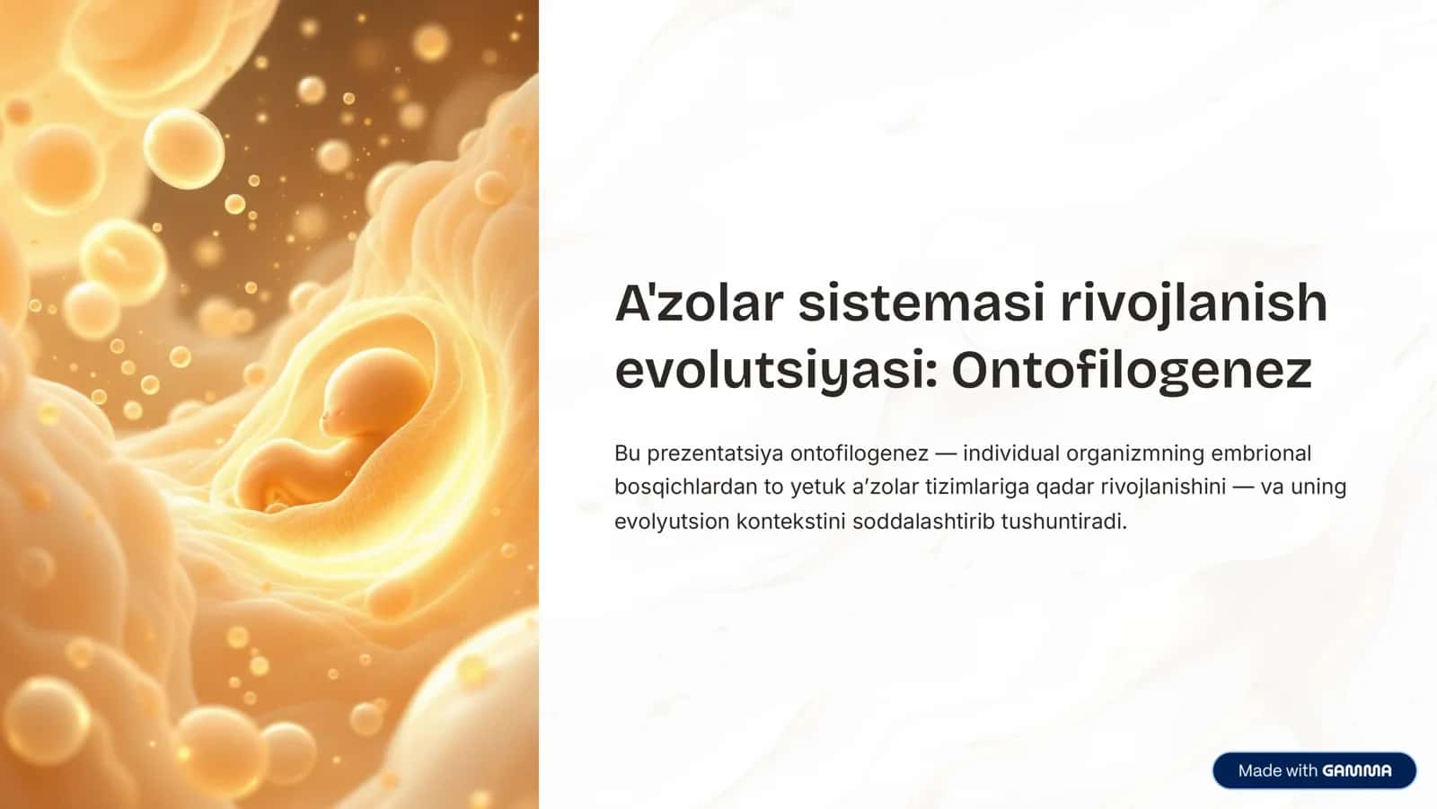 A'zolar sistemasi rivojlanish evolutsiyasi: Ontofilogenez 1
