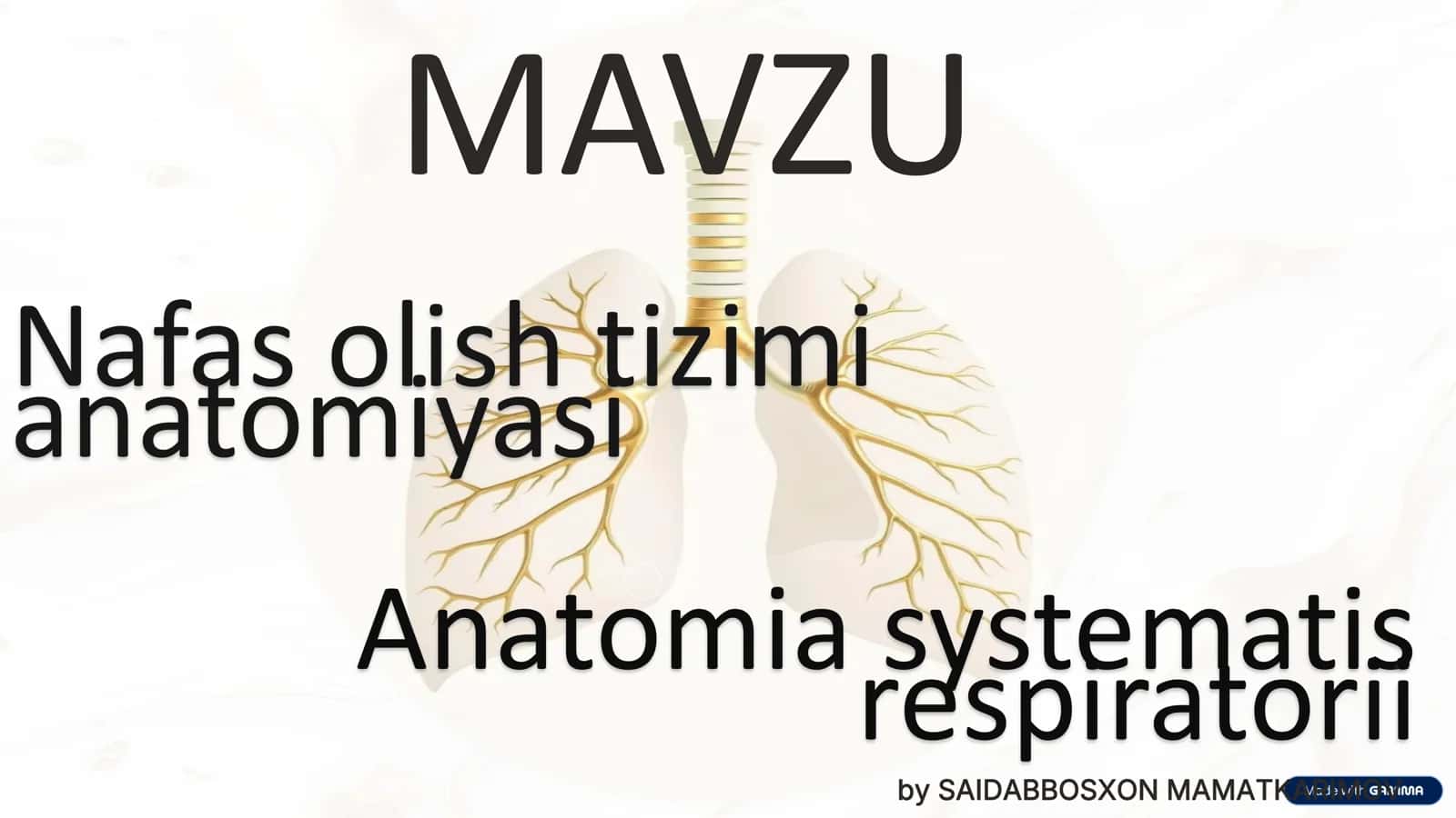 Nafas olish tizimi anatomiyasi 1