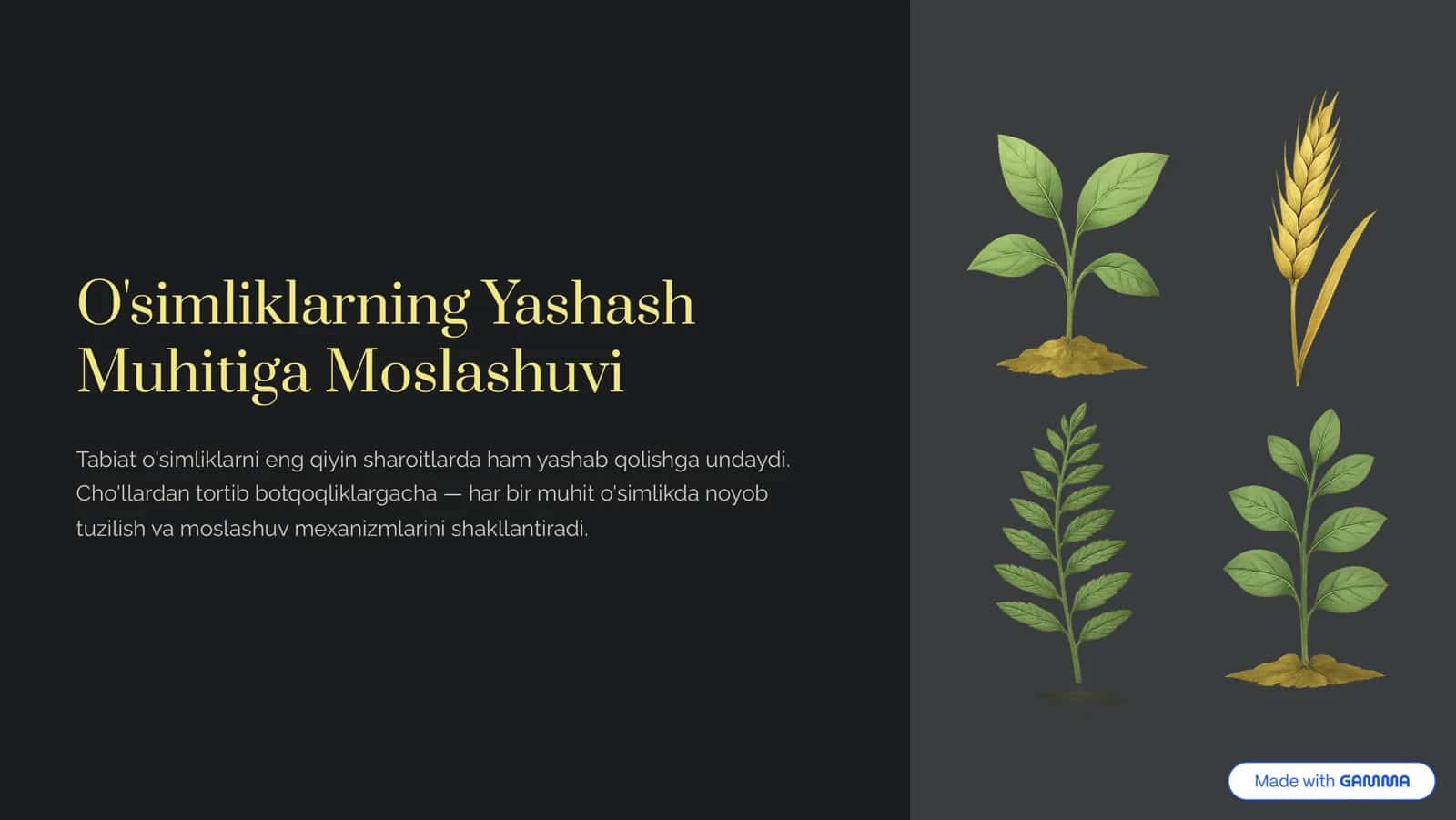 O'simliklarning Yashash Muhitiga Moslashuvi 1