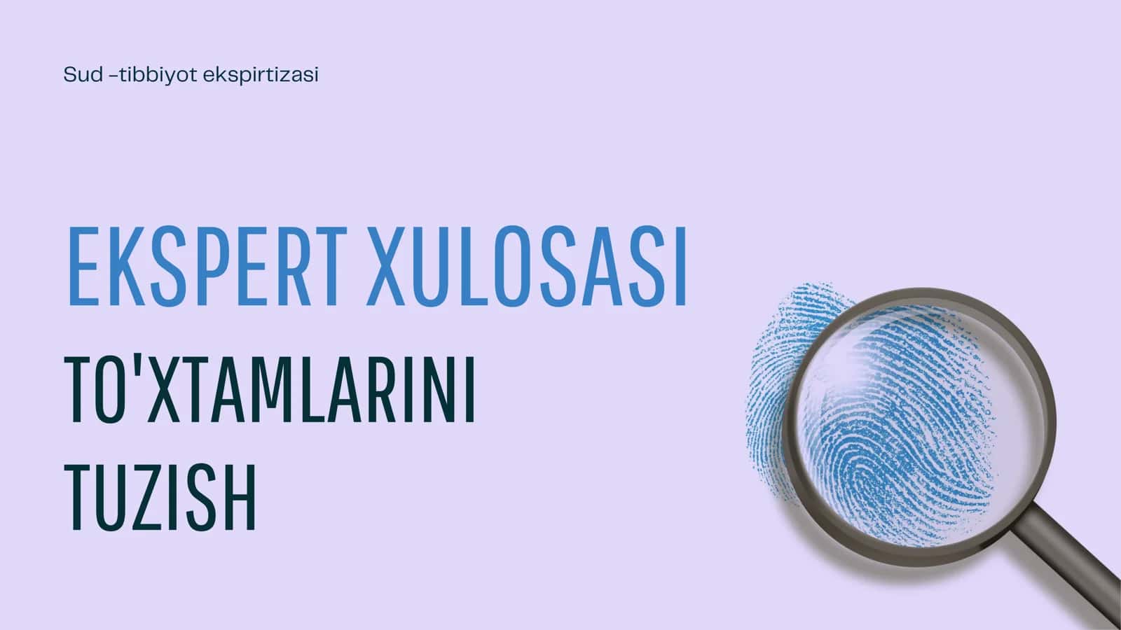 Ekspert xulosasi to'xtamlarini tuzish 1