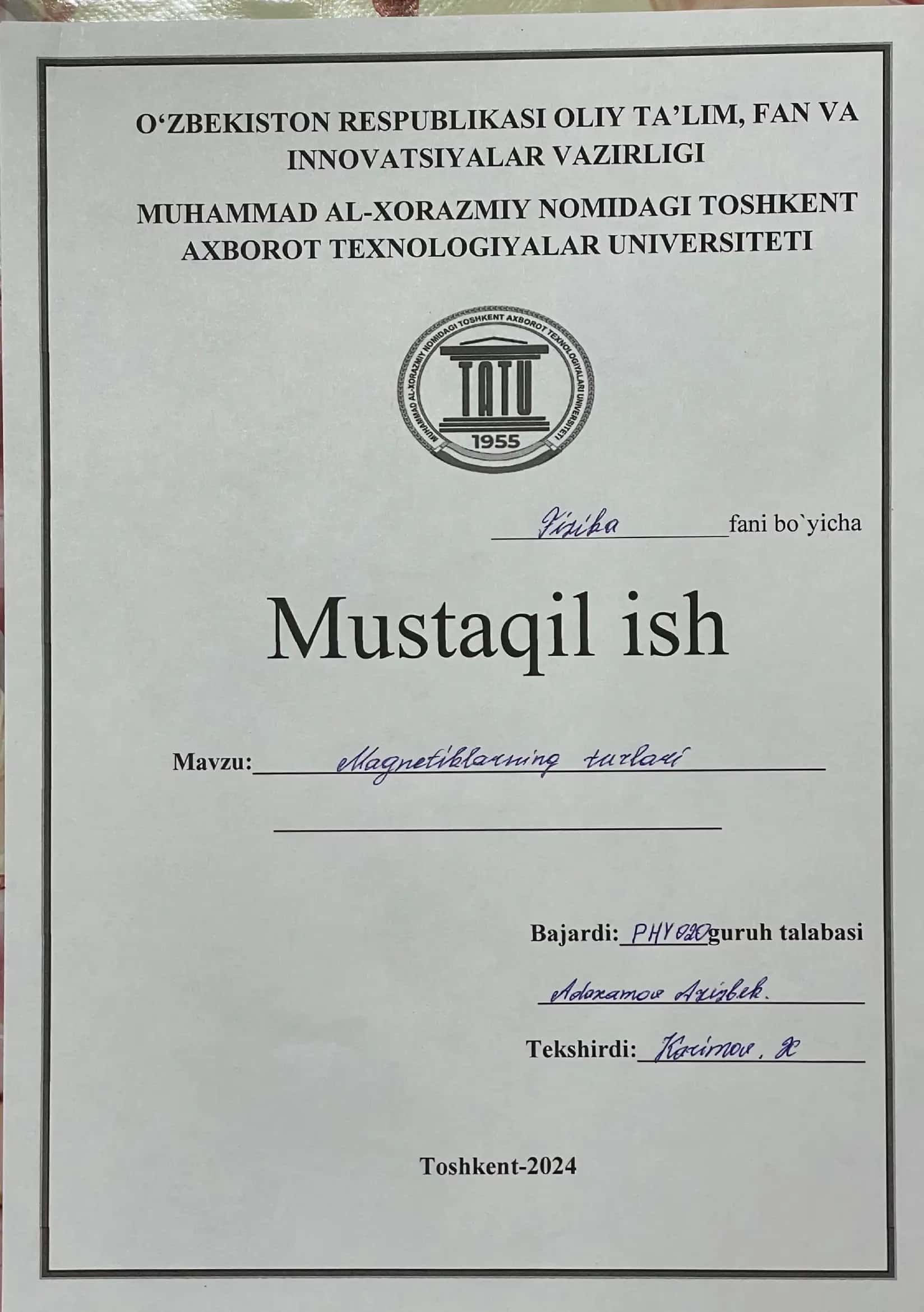 Mustaqil ish Magnitlarni turlari 1