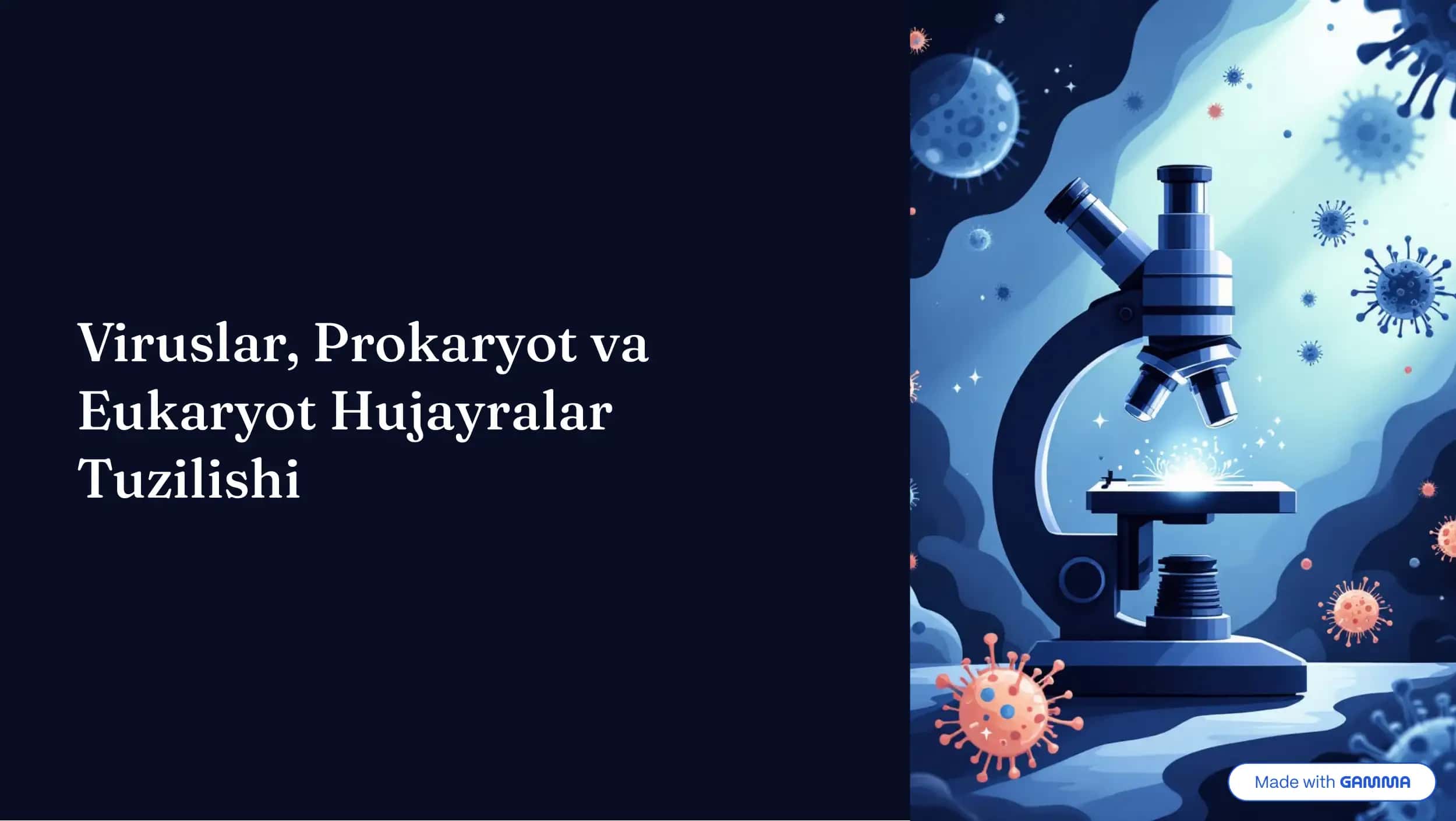 Viru4lar, Prokaryot va Eukaryot Hujayralar 1