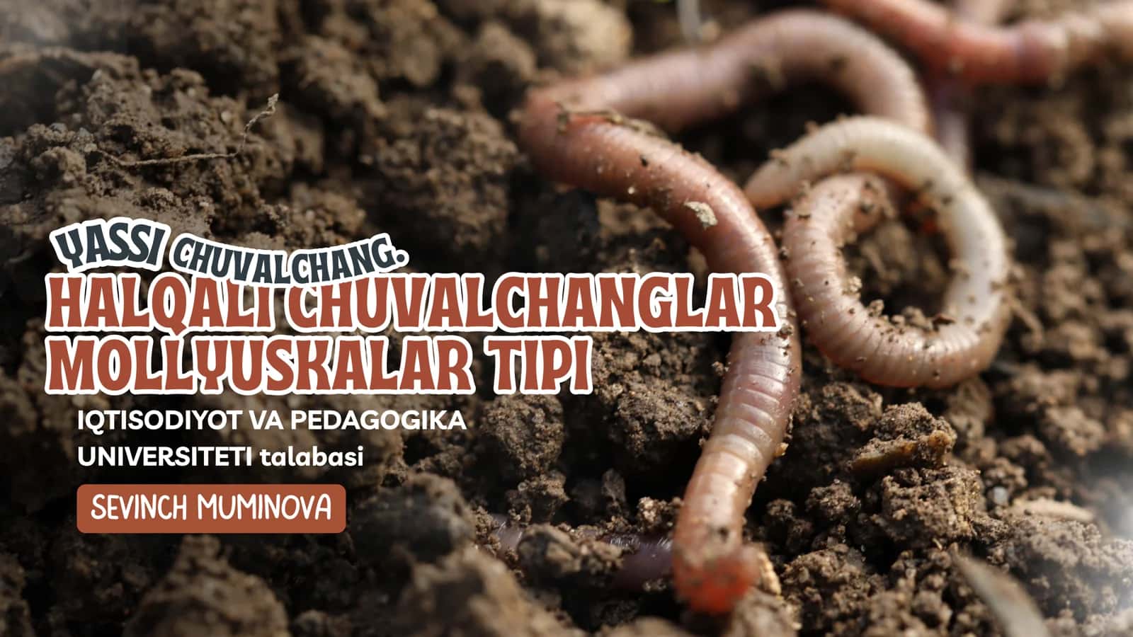 HALQALI CHUVALCHANGLAR MOLLYUSKALAR TIPI 1