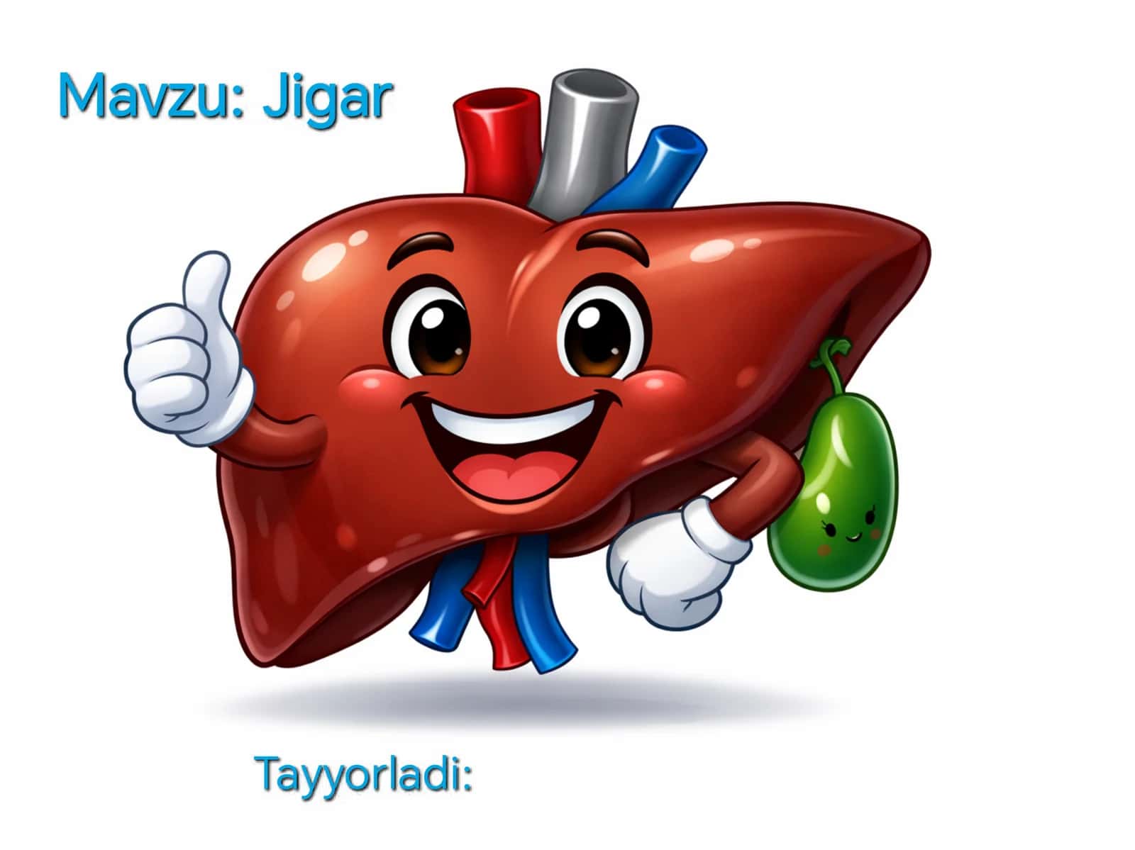 Jigar anatomiyasi 1