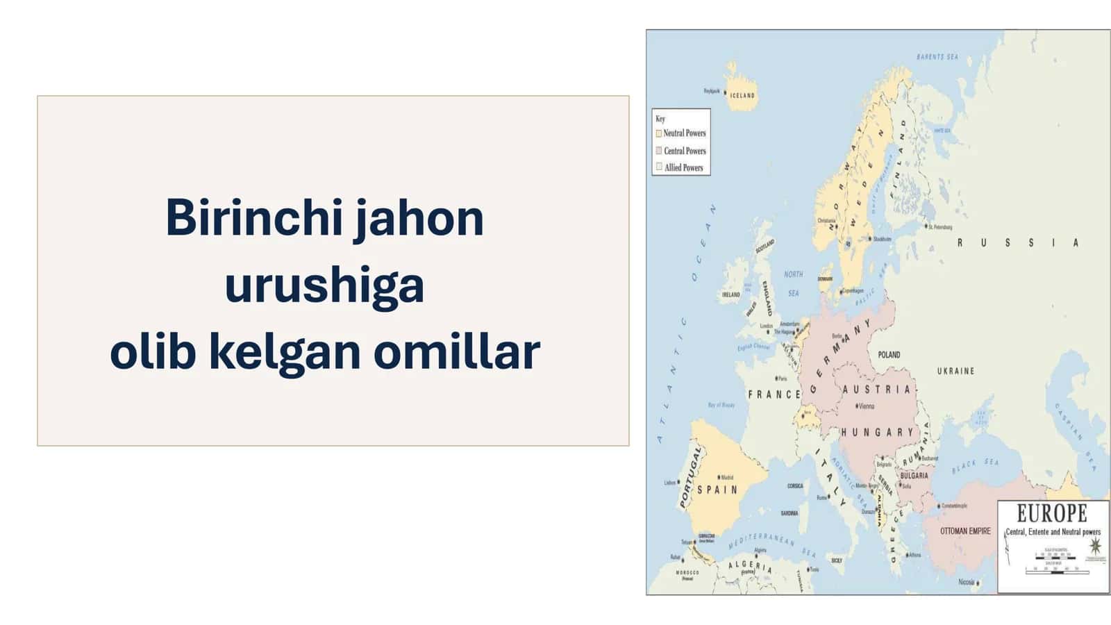 Birinchi jahon urushiga olib kelgan omillar 1
