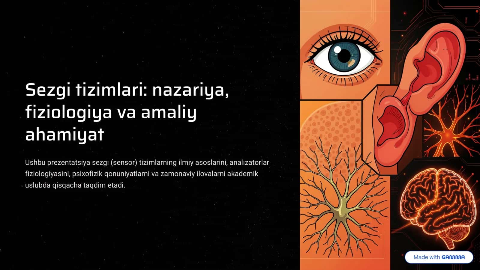 Sezgi tizimlari: nazariya, fiziologiya va amaliy ahomiyat 1