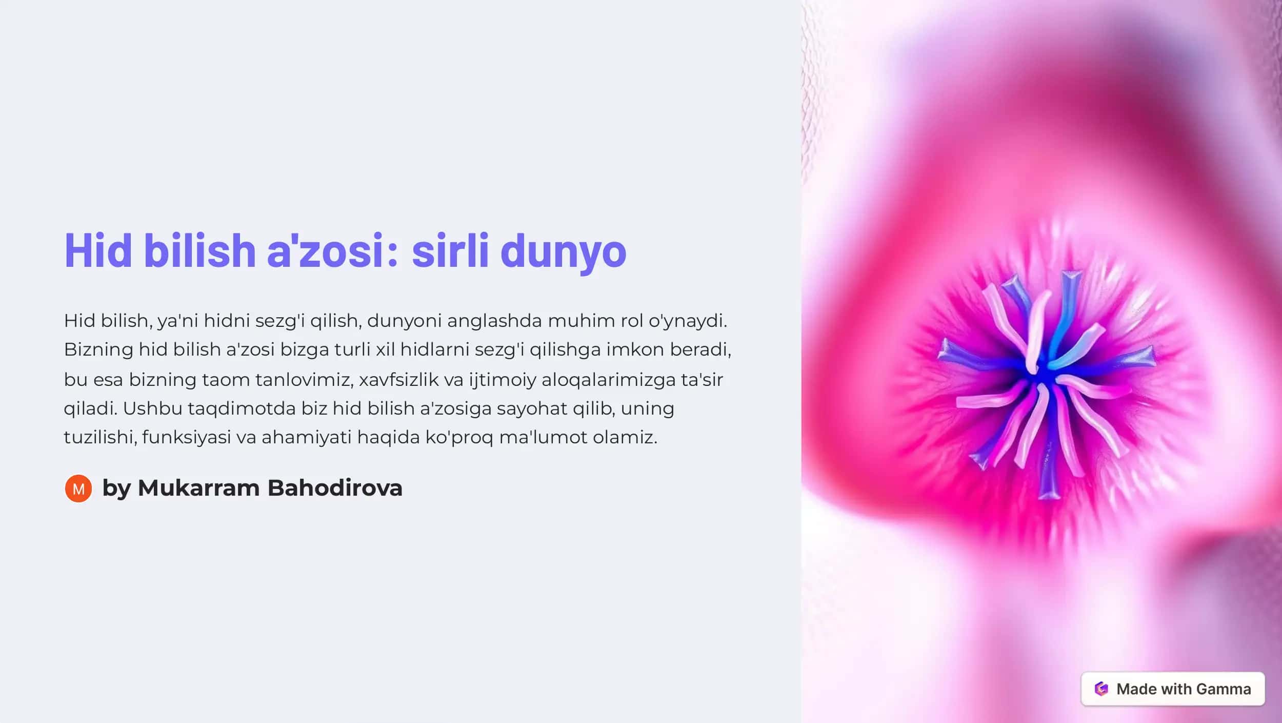 Hid bilish a'zosi: sirli dunyo 1