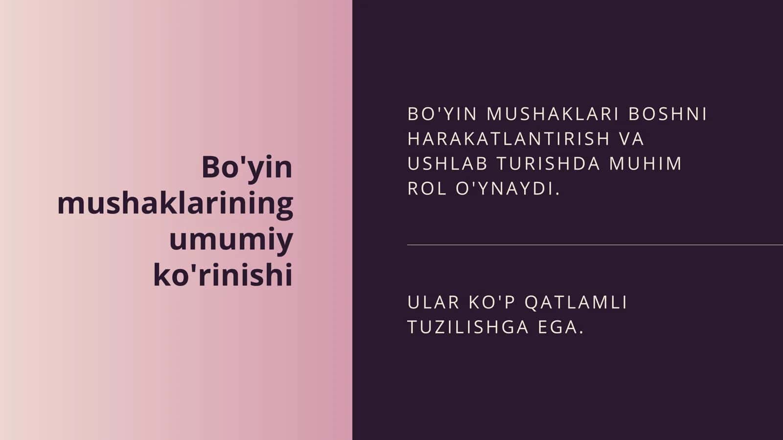 BO'YIN MUSHAKLARI BOSHNI HARAKATLANTIRISH V A USHLAB TURISHDA MUHIM ROL O'YNAYDI 1