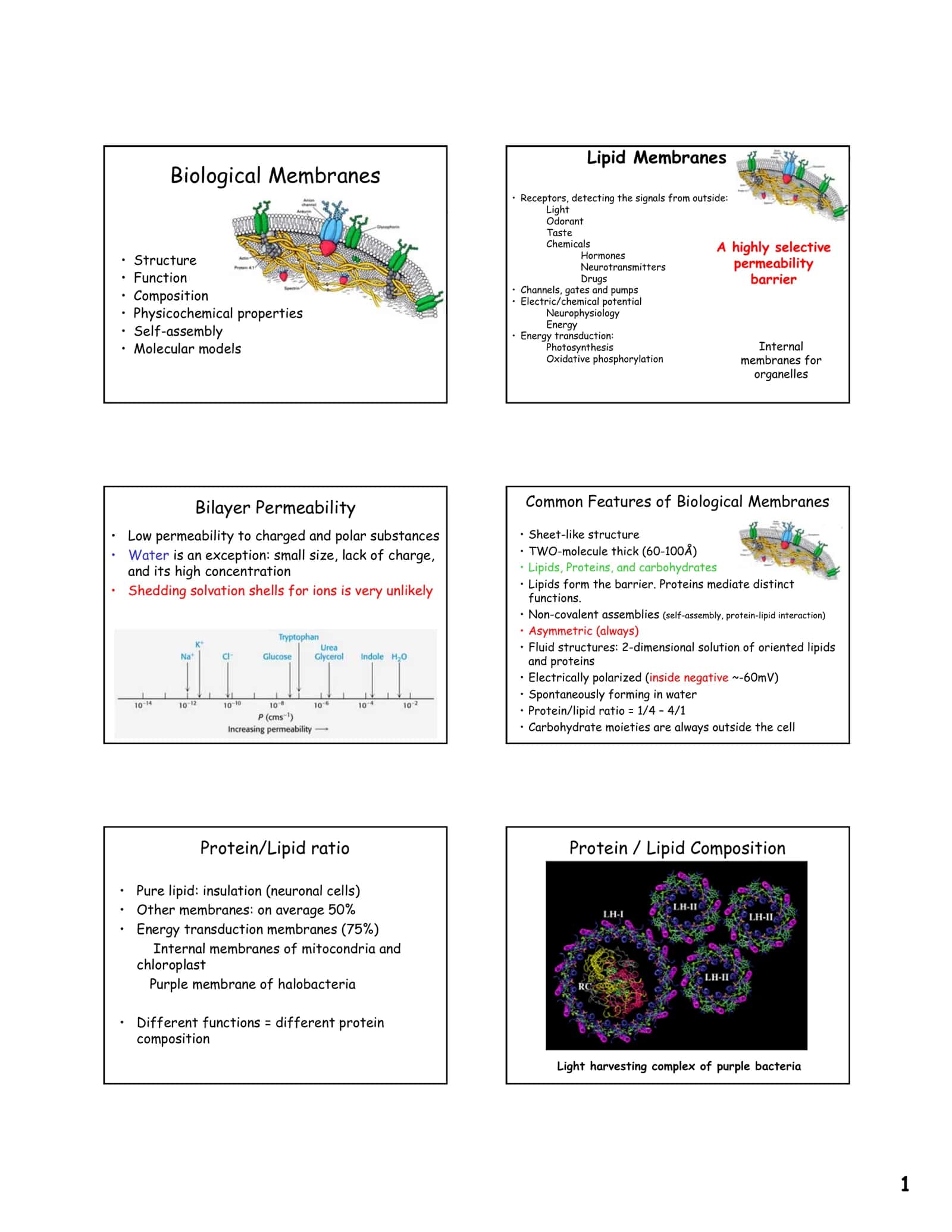 Biological Membranes 1