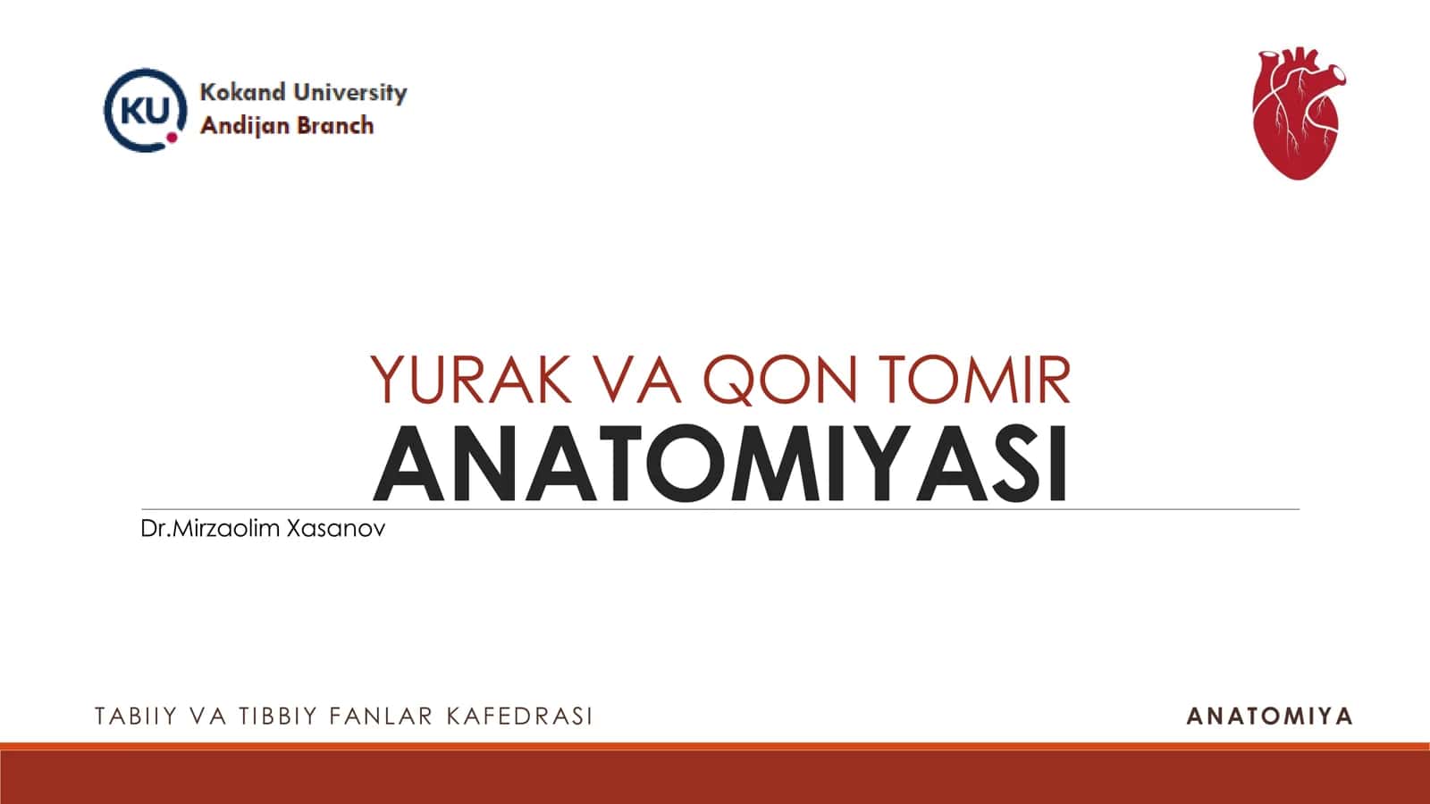 YURAK VA QON TOMIR ANATOMIYASI 1