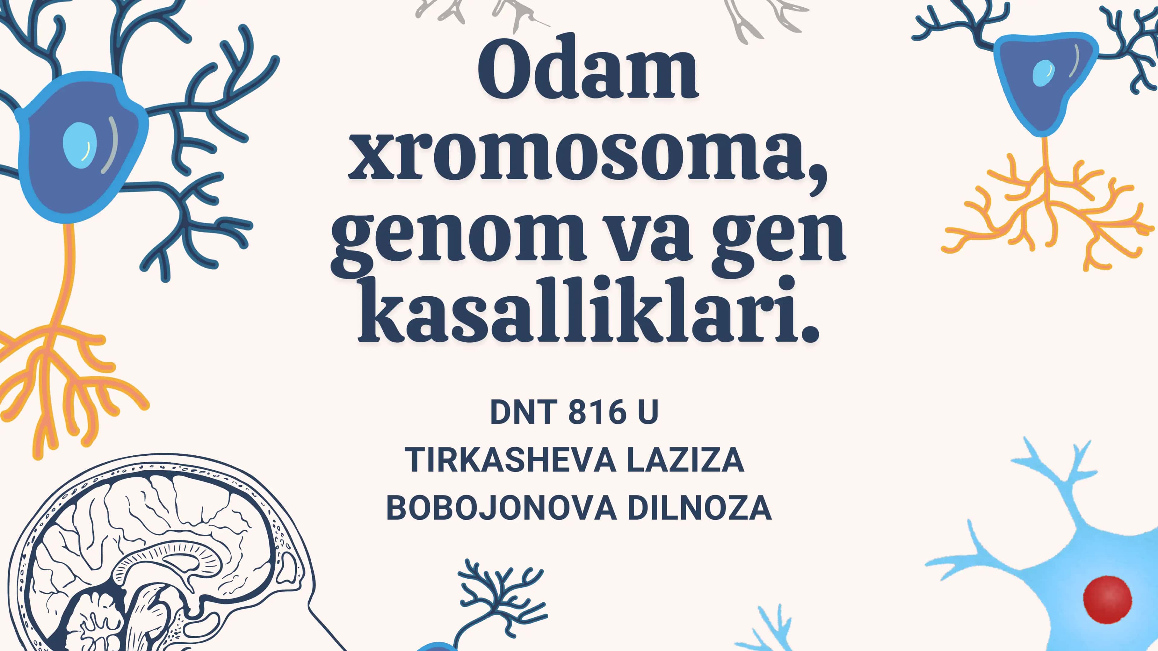 Xromosoma va Genom 1