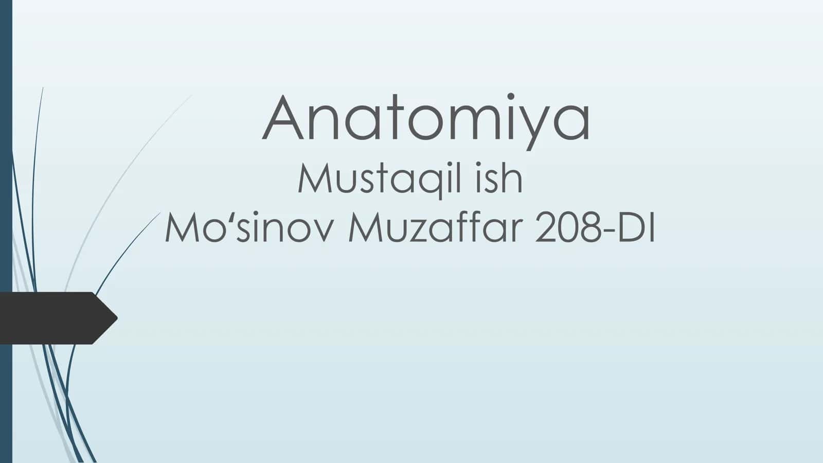 Ko’rish a’zosi.Ko’z olmasining tuzulishi va yoshga qarab o’zgarishi 1
