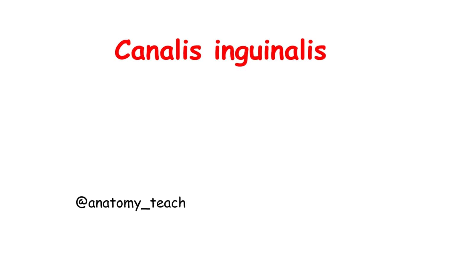Canalis inguinalis 1