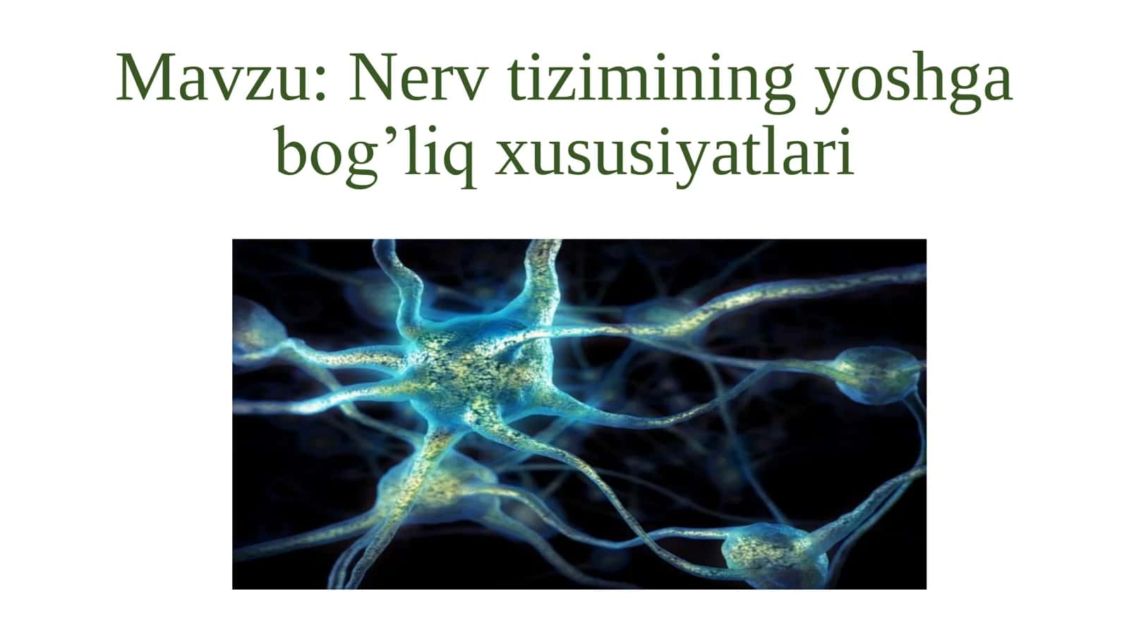 Nerv tizimining yoshga bog’liq xususiyatlari 1