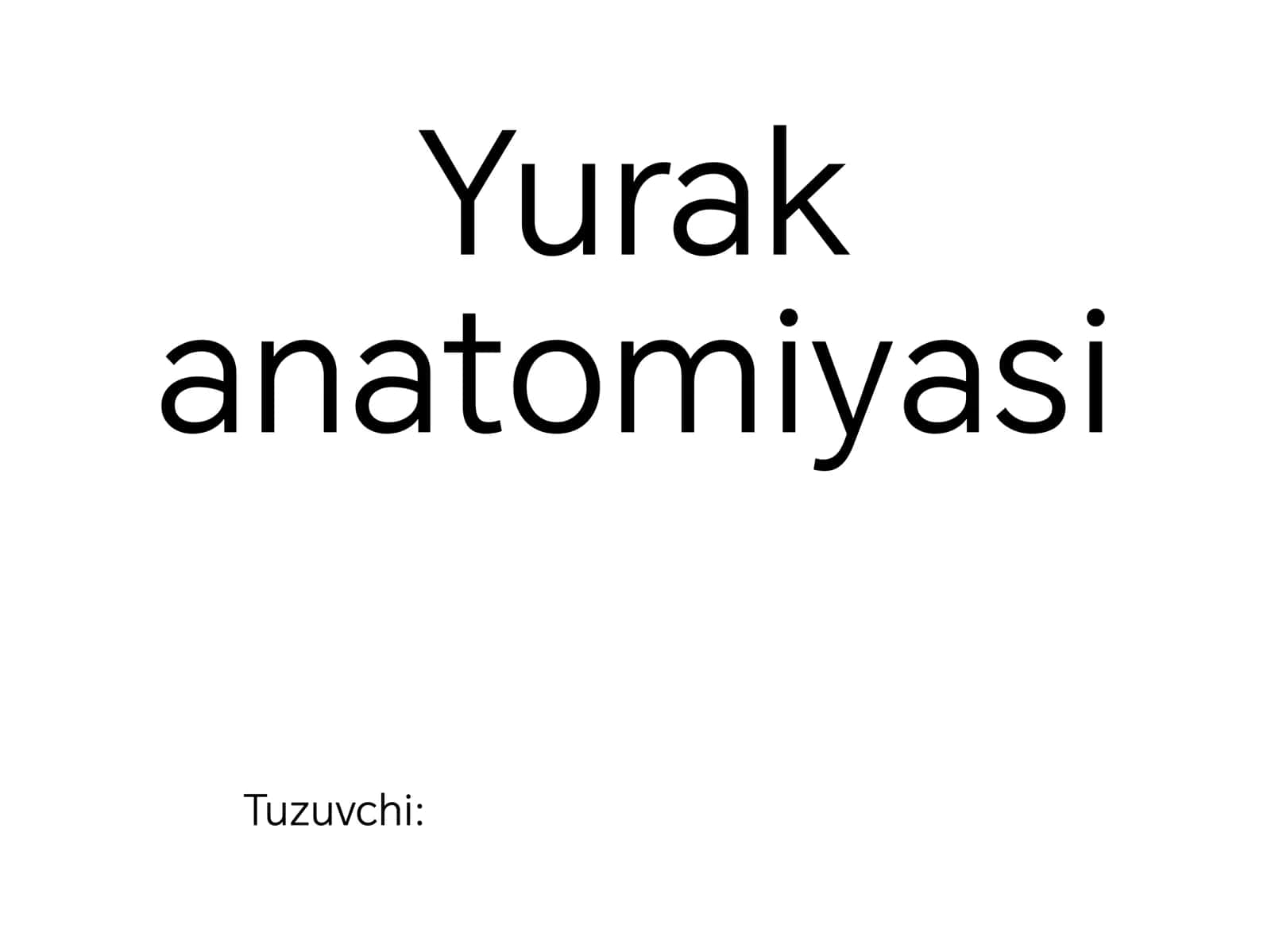 Yurak anatomiyasi 1