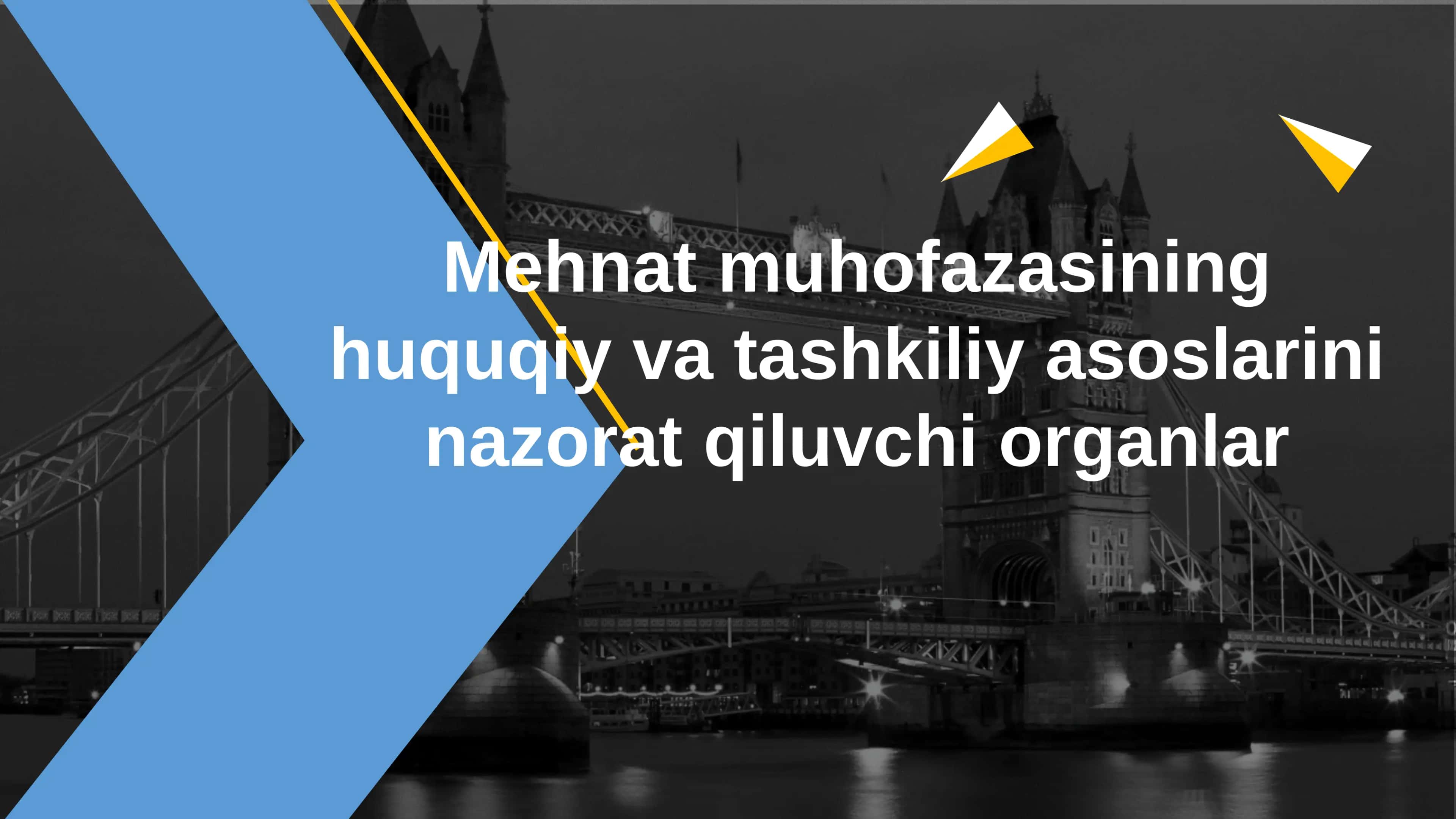 Mehnat muhofazasining huquqiy va tashkiliy asoslarini nazorat qiluvchi organlar 1