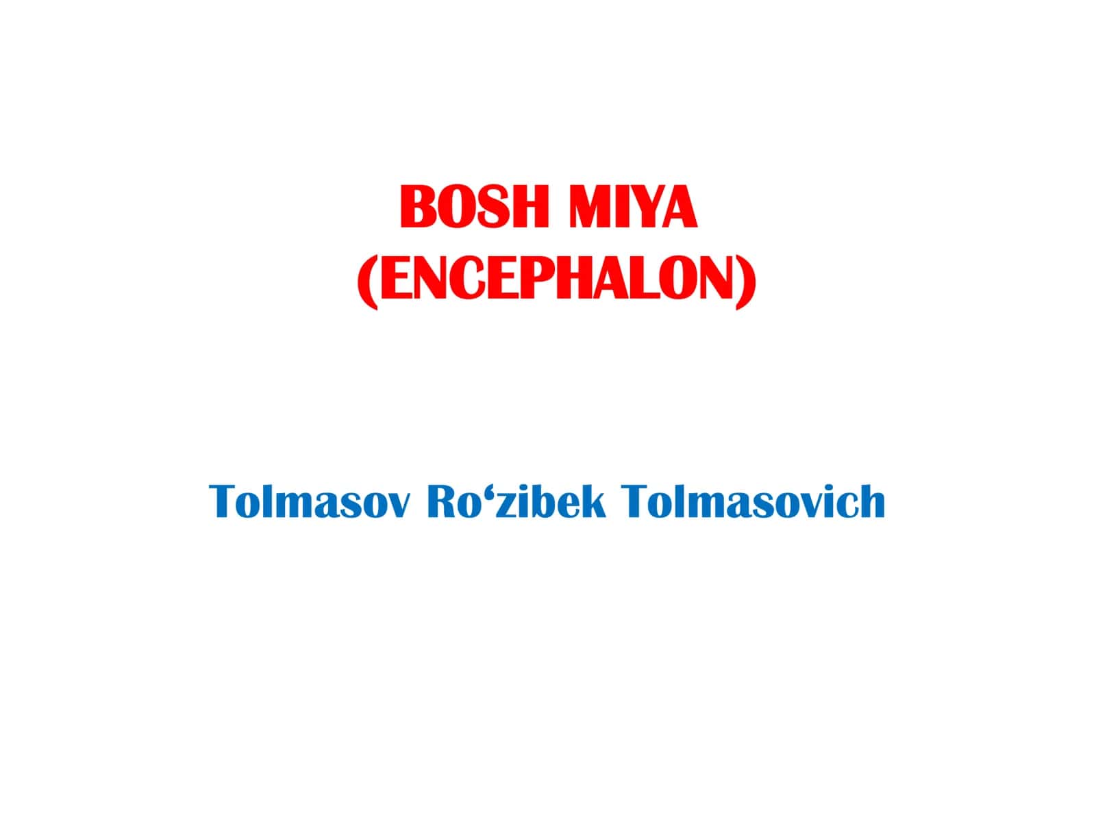 BOSH MIYA (ENCEPHALON) 1