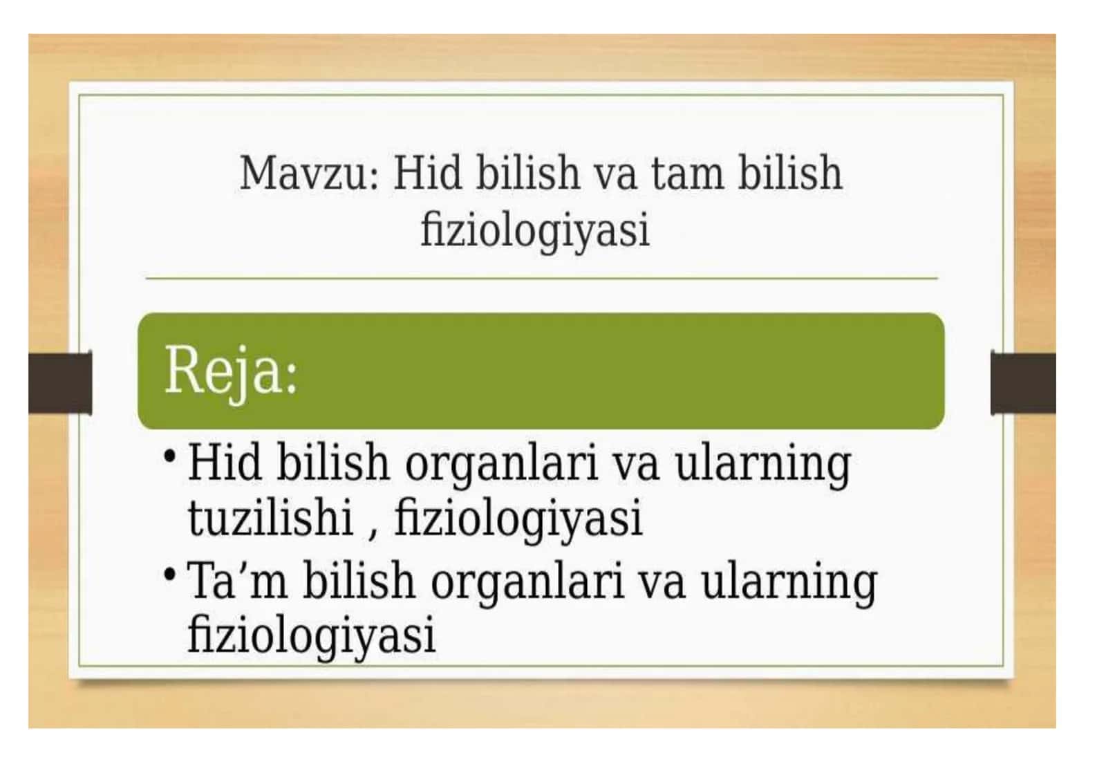 Teri analizatori (Teri sezgisi) 1
