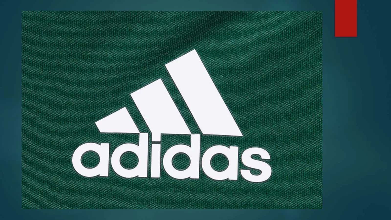 Adidas 1920 yillarda aka uka Dasslerlar egalik qilgan kompaniya 1