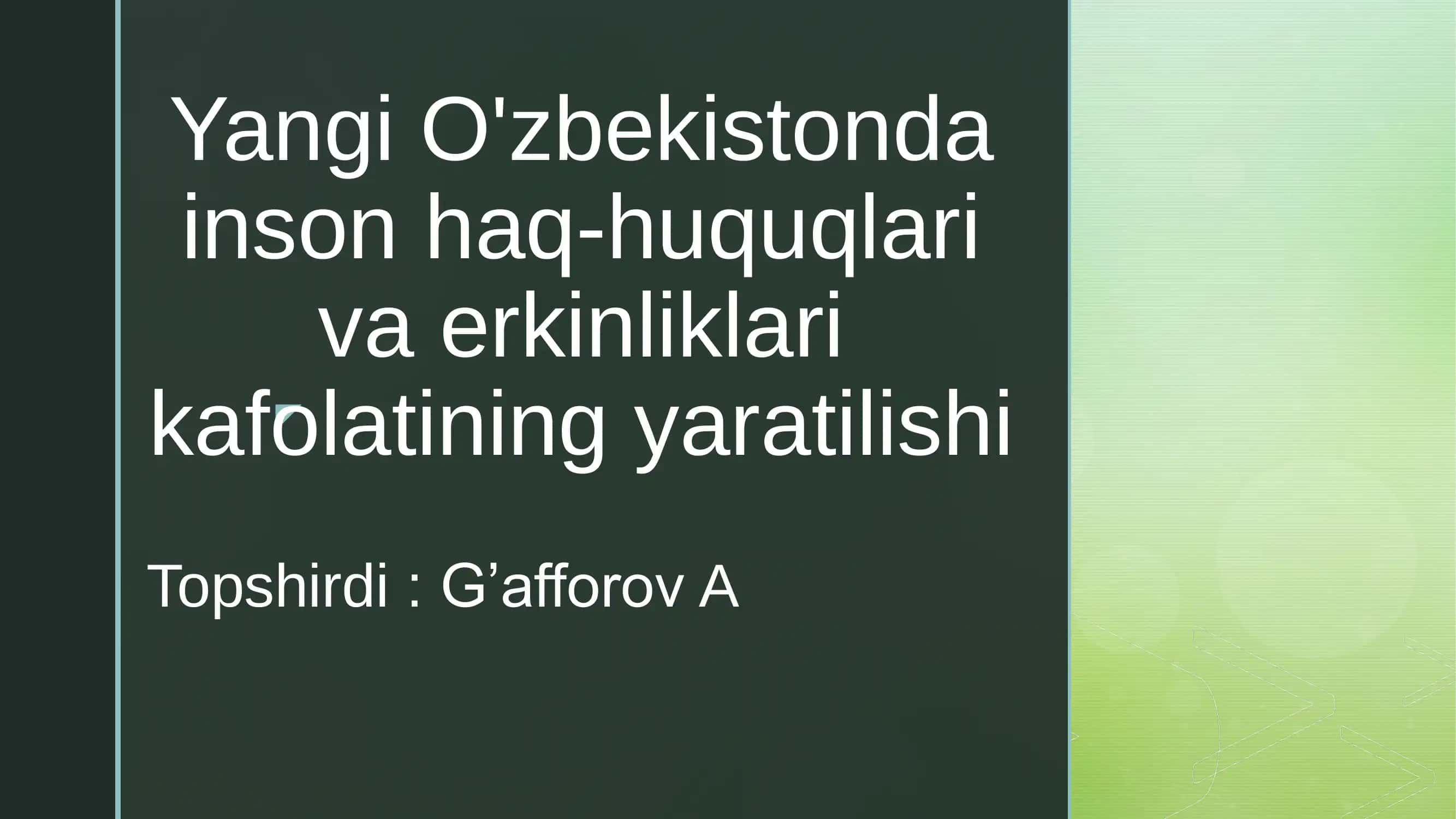Yangi O'zbekistonda inson haq-huquqlari va erkinliklari kafolatining yaratilishi 1