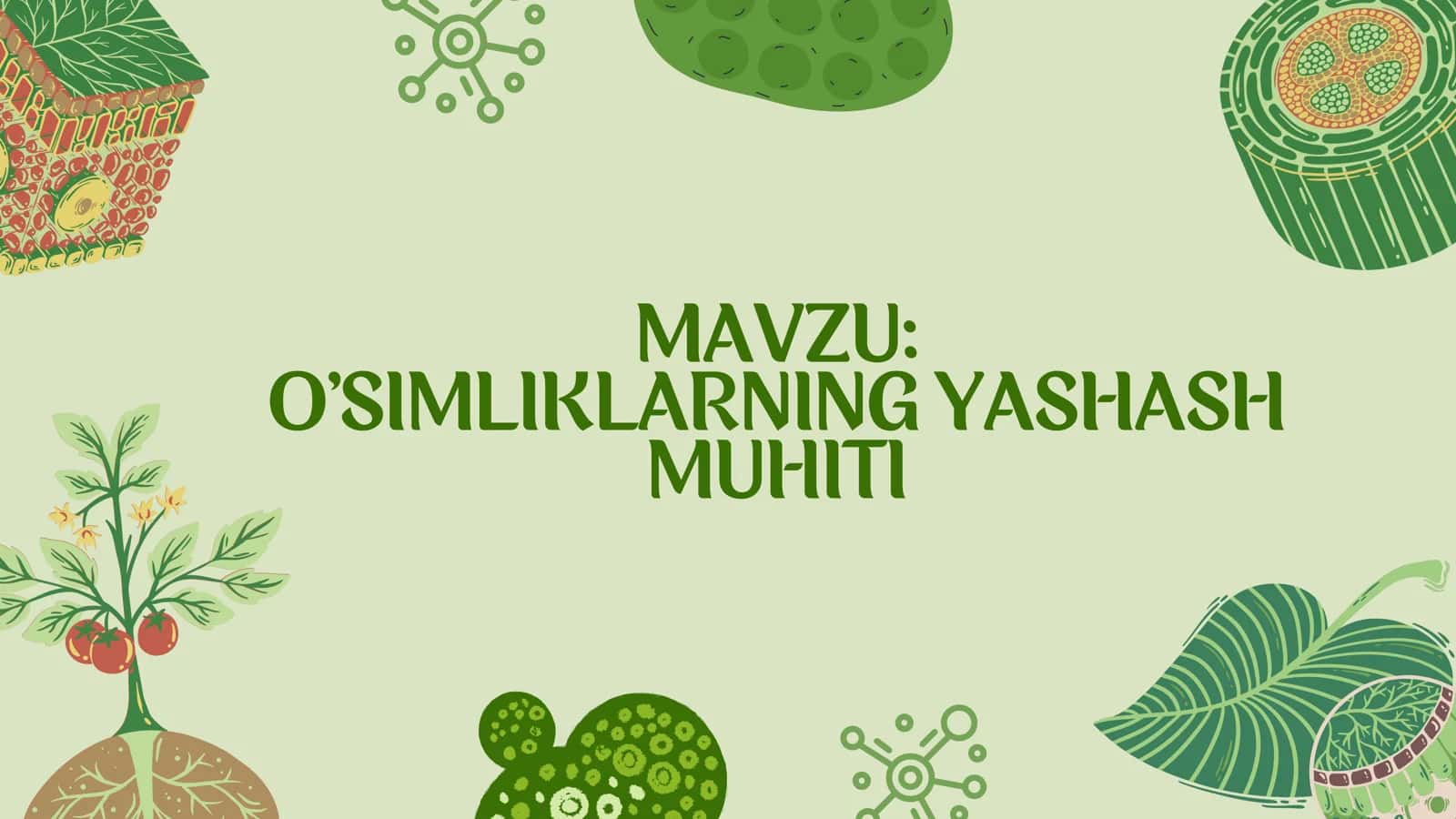 OʻSIMLIKLARNING YASHASH MUHITI 1