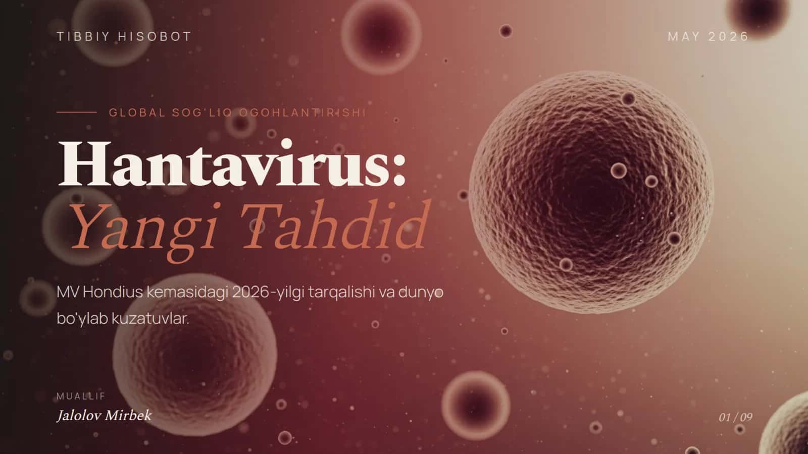 Hantavirus nima 1