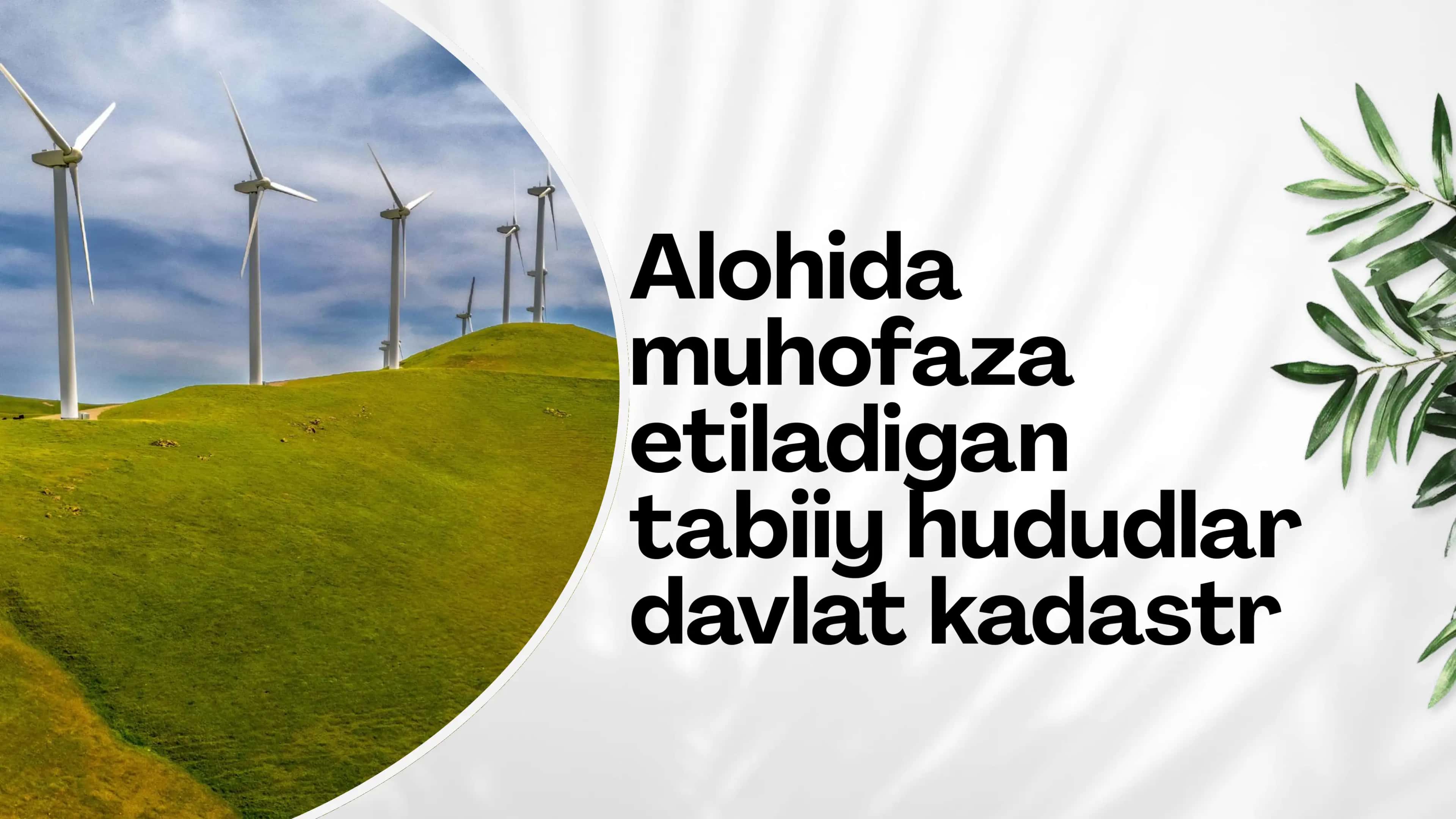 Alohida muhofaza etiladigan tabiiy hududlar (AMETH) 1