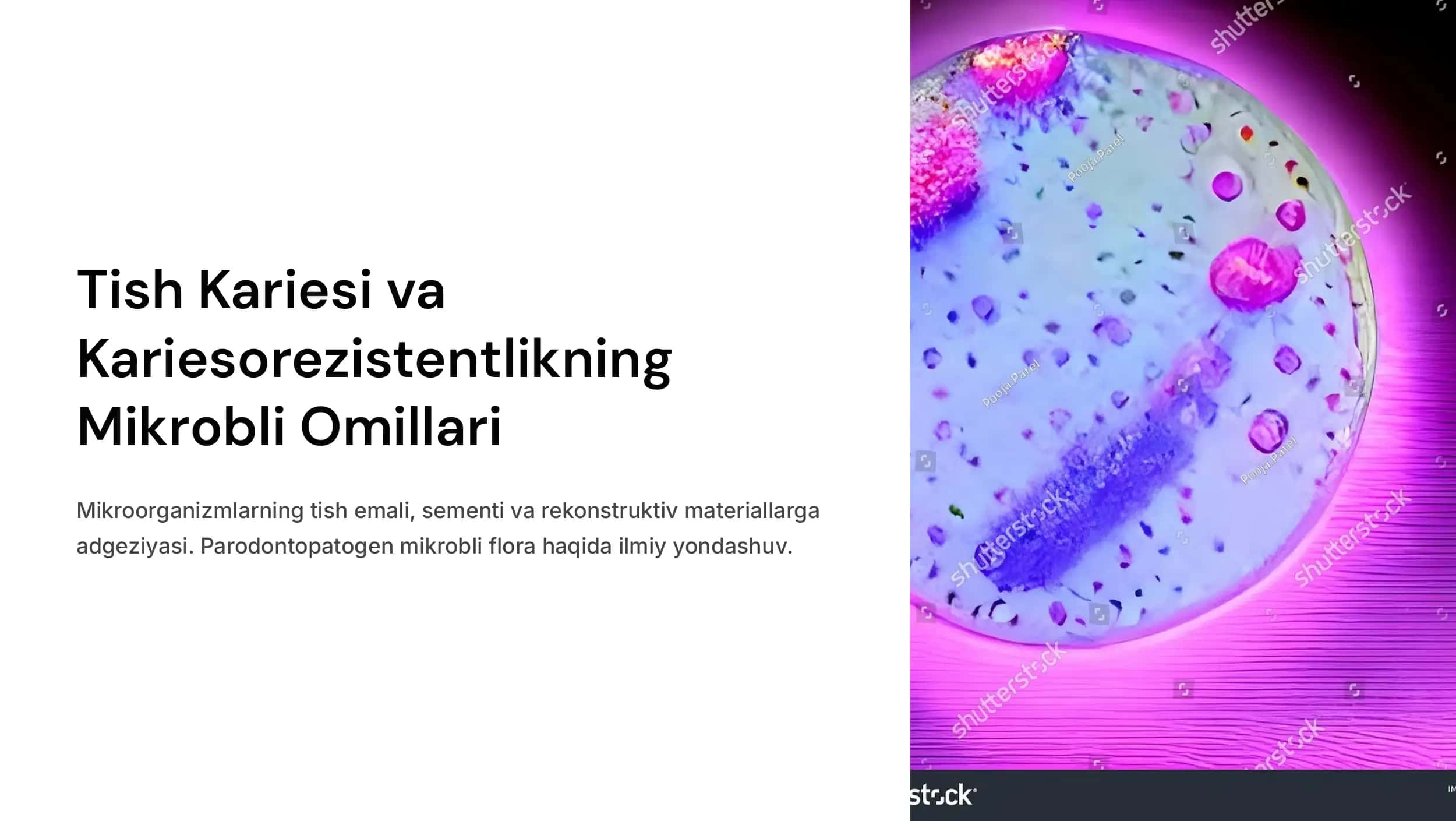 Tish kariesi va  kariesorezistentlikning  mikrobli omillari.  Mikroorganizmlarning  tish emali, sementi va  rekonstruktiv  materiallarga  adgeziyasi.  Parodontopatogen  mikrobli flora. 1