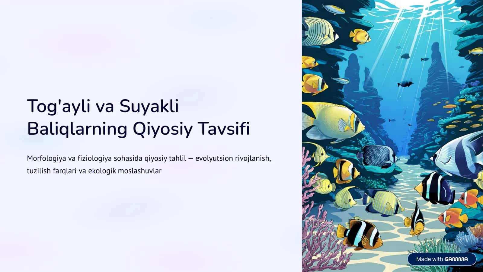 Baliqlarning Qiyosiy Tavsifi 1