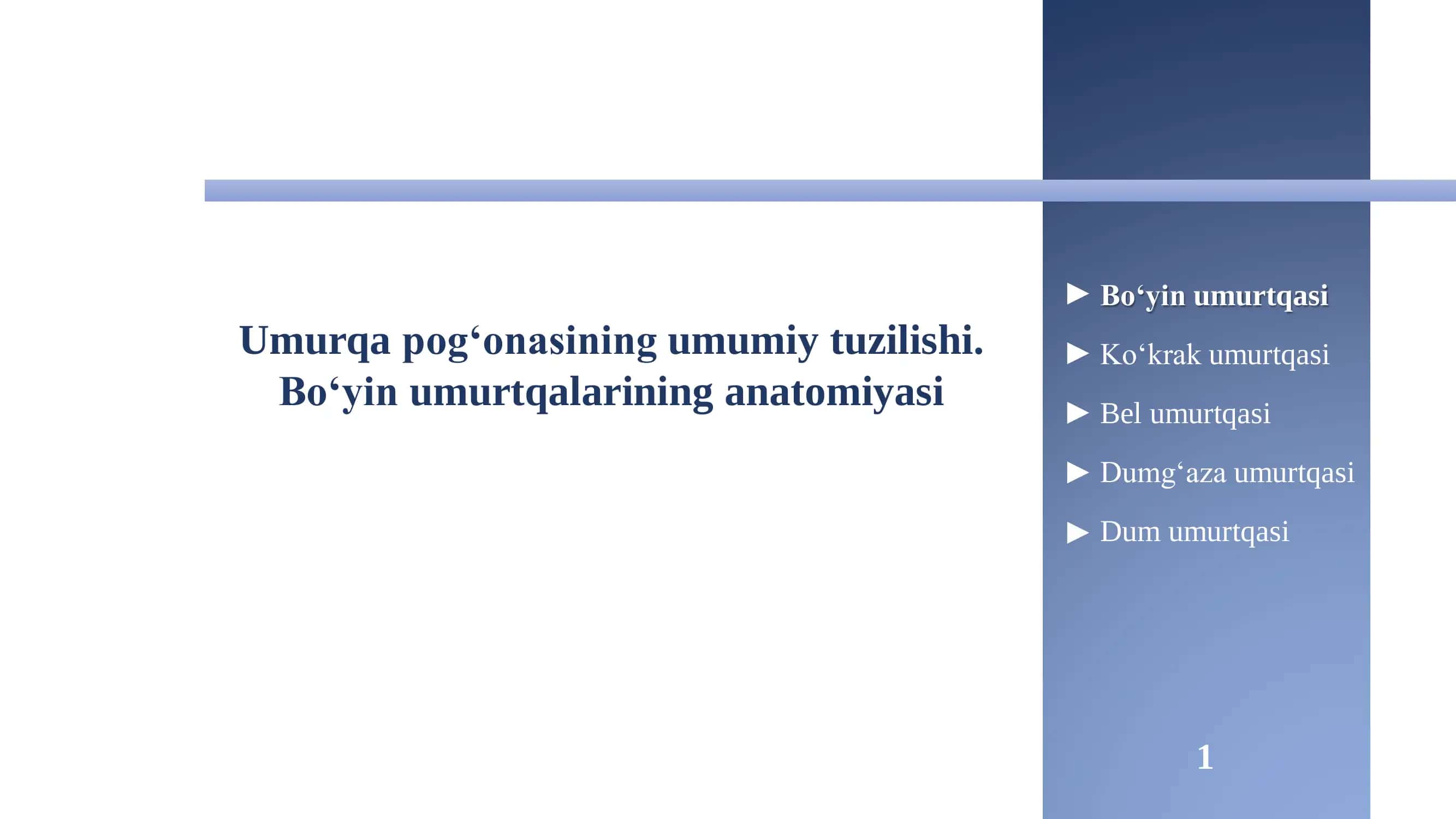 Birinchi Bo‘yin Umurtqasi (Atlas) 1