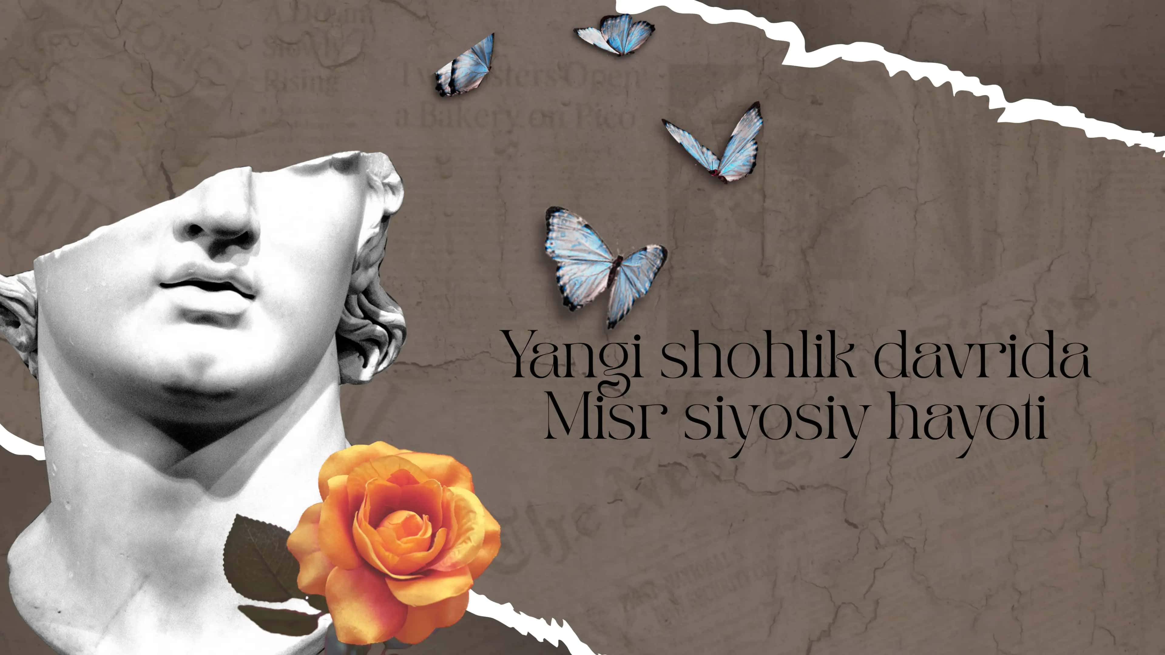 Yangi Shohlik 1