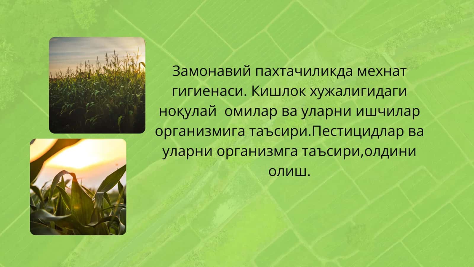 Замонавий пахтачиликда мехнат гигиенаси 1
