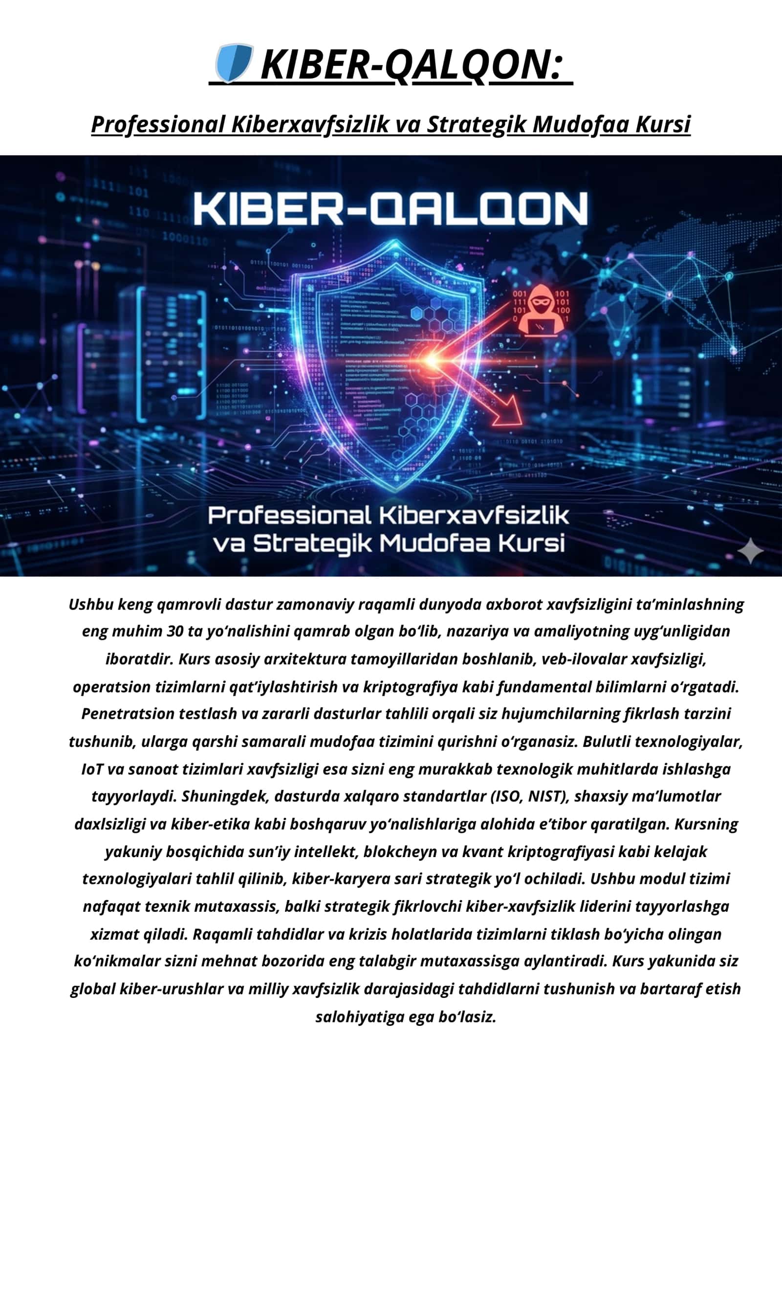 Professional Kiberxavfsizlik va Strategik Mudofaa Kursi 1