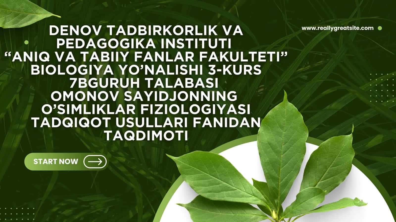 O‘simliklar hujayra energetikasi 1
