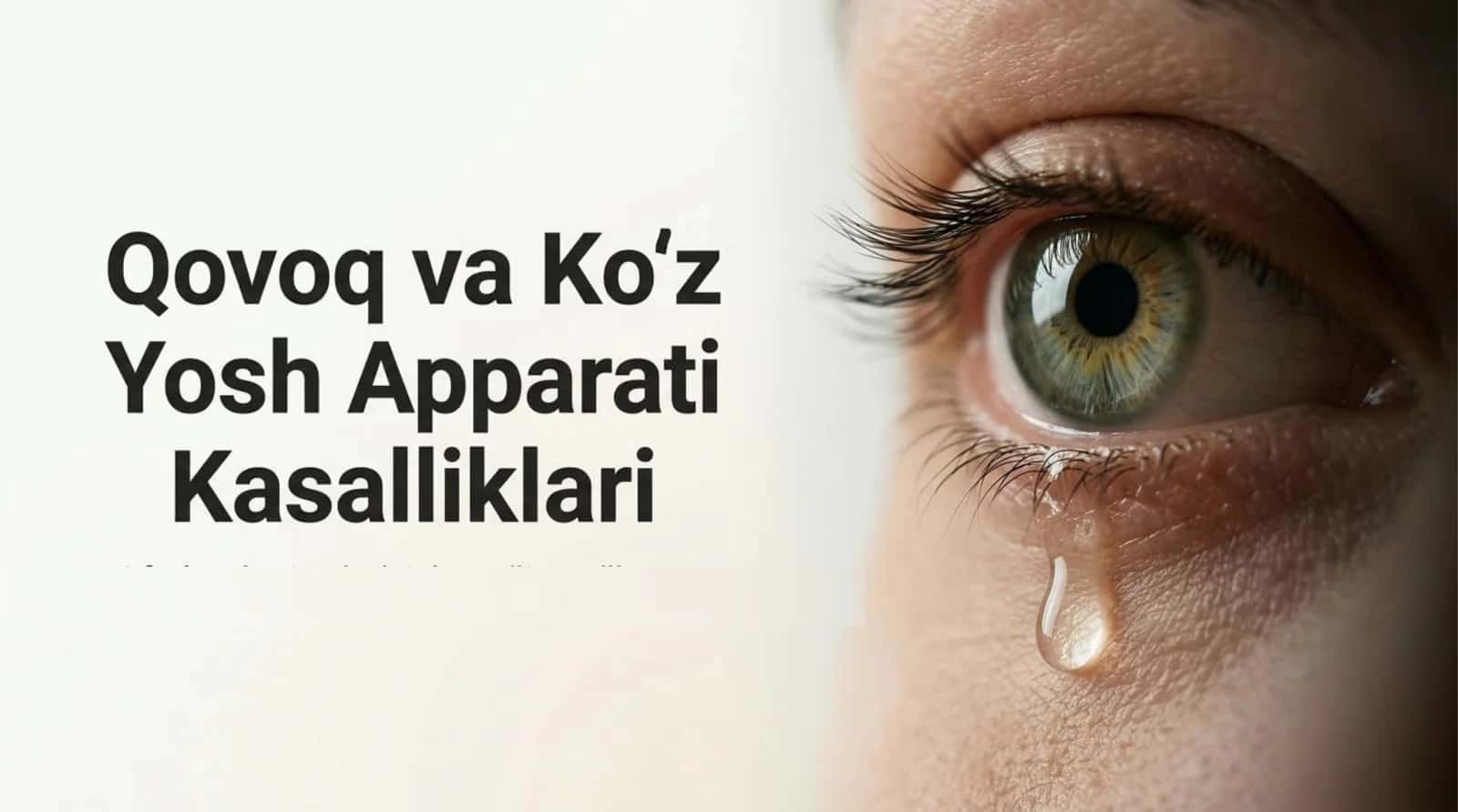 Qovoq va ko‘z yosh apparati kasalliklari 1