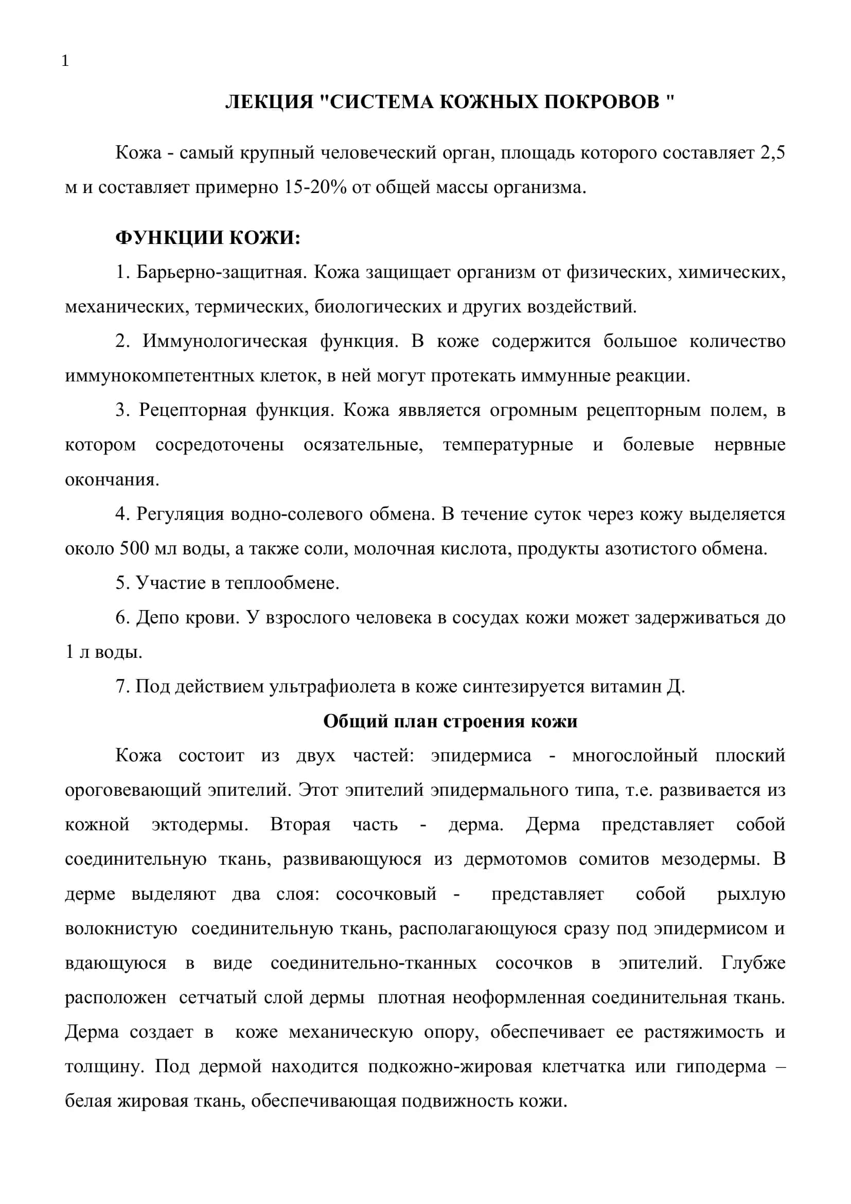 кожа и её производные 1
