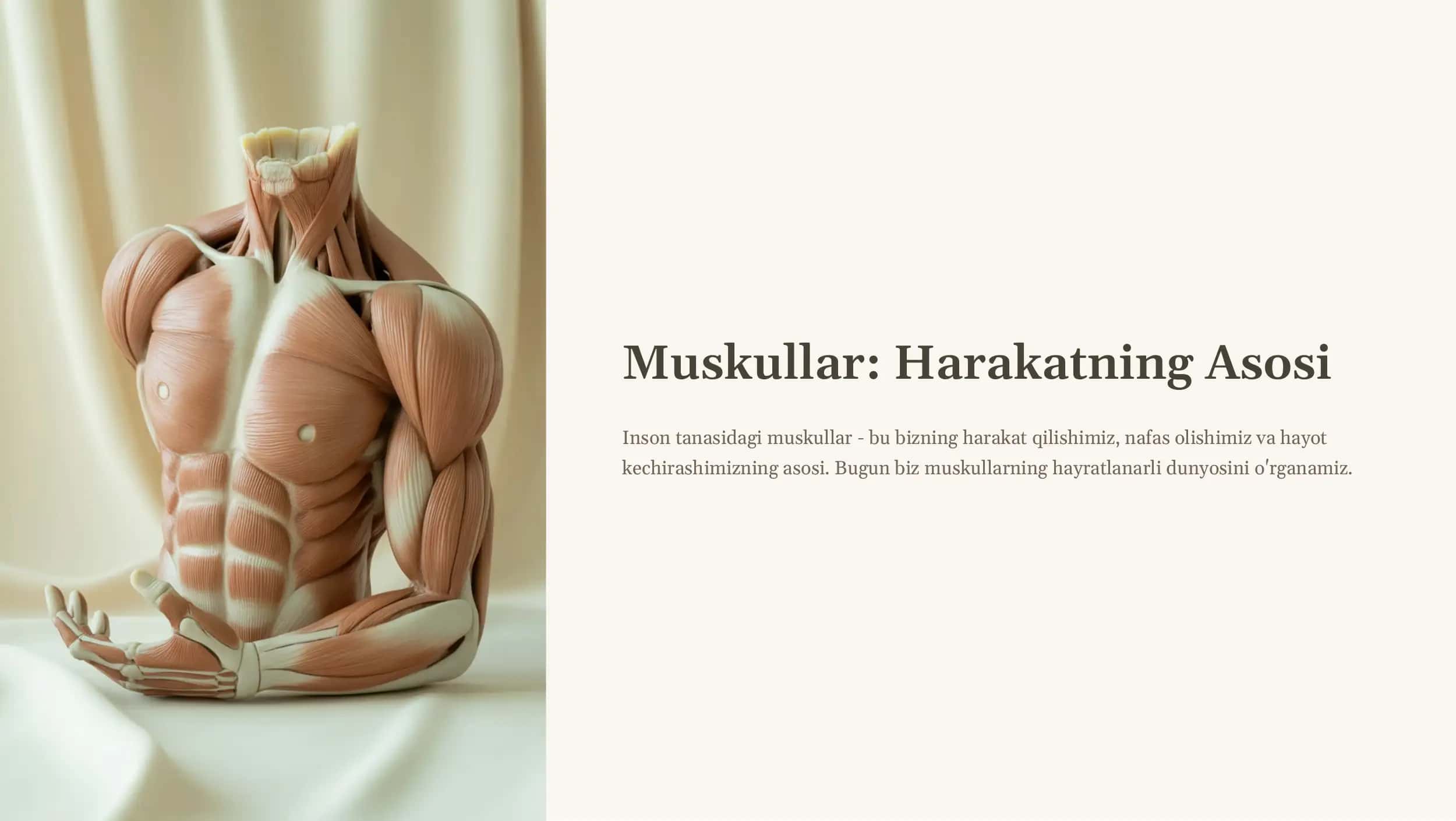 Muskullar: Harakatning Asosi 1