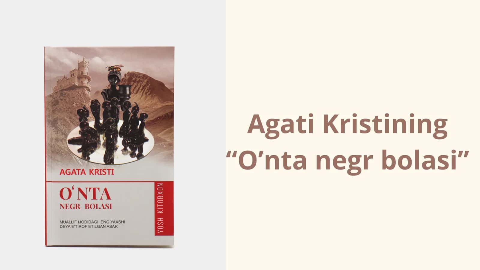 O’nta negr bolasi 1