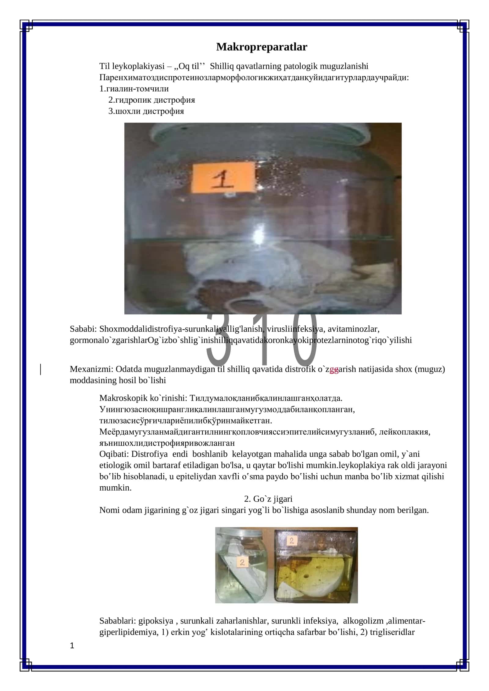 Patanatomiya makropreparatlar 1