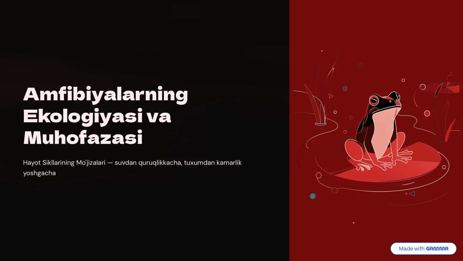Amfibiyalarning Ekologiyasi va Muhofazasi 1