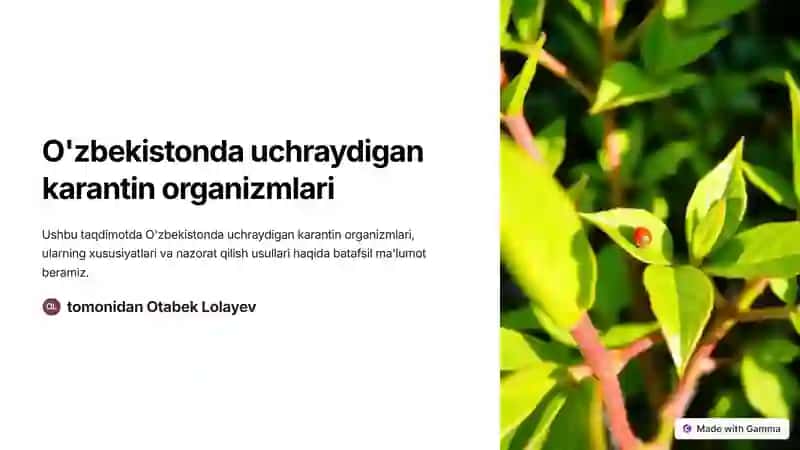O'zbekistonda uchraydigan karantin organizmlari