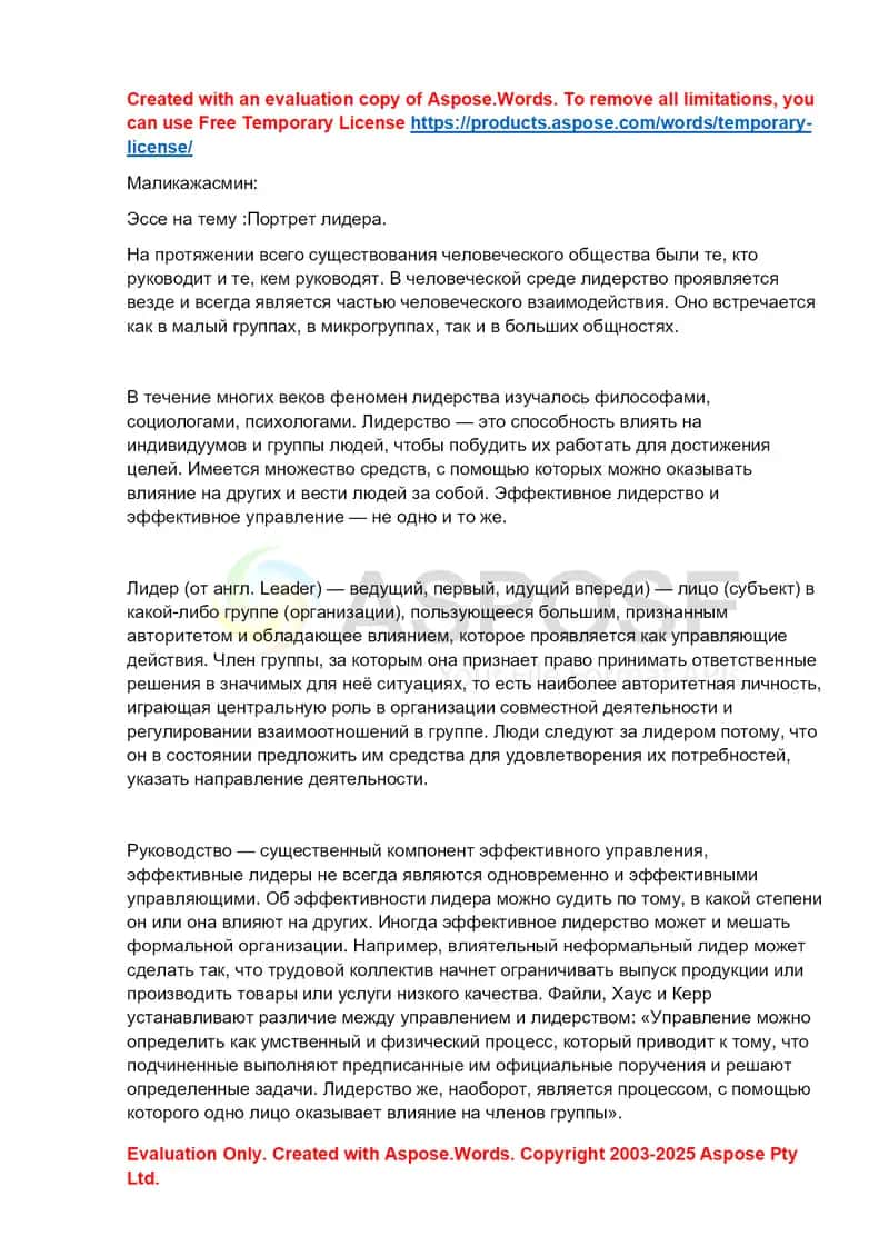 Эссе «Портрет лидера» 1