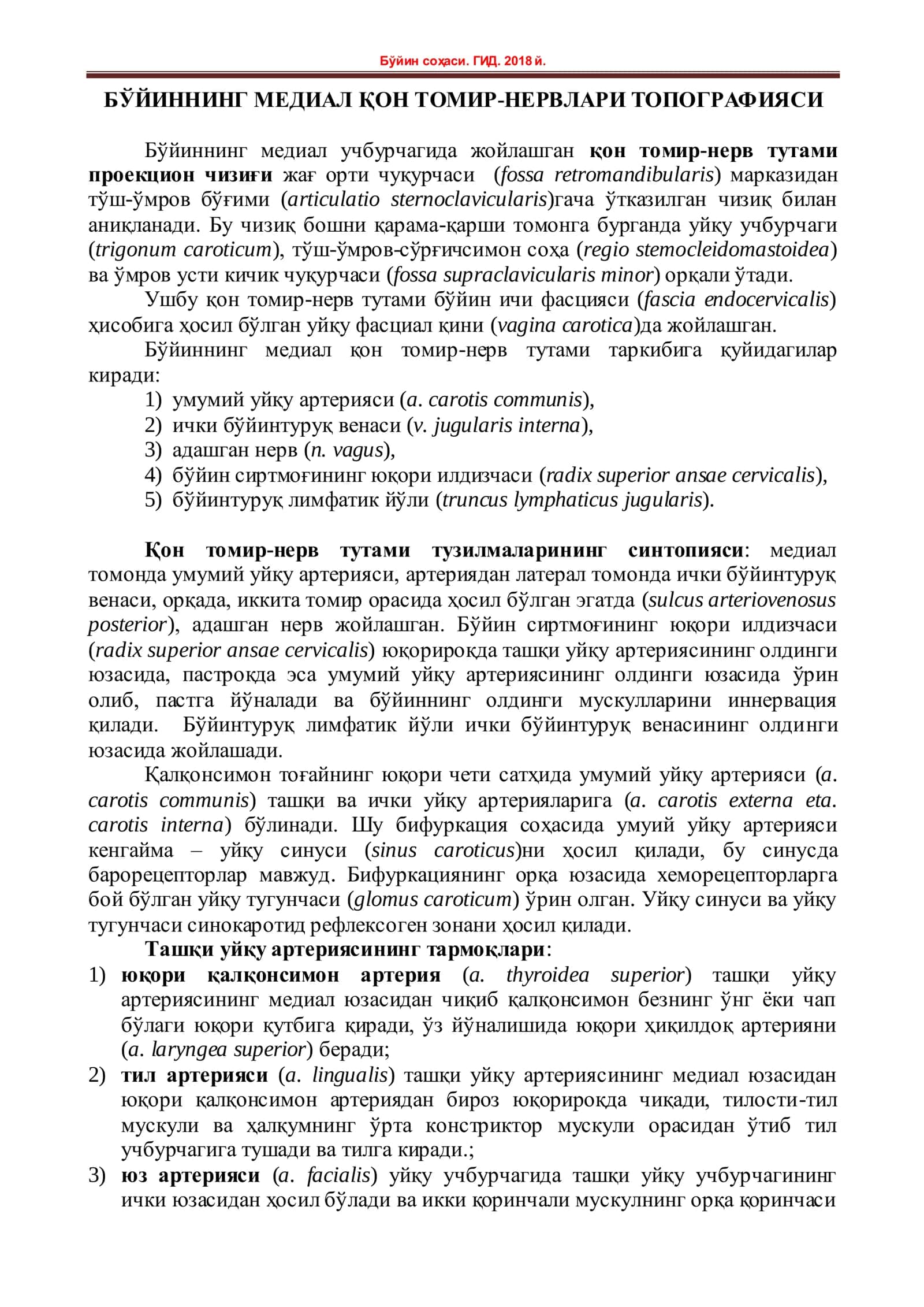 БЎЙИННИНГ МЕДИАЛ ҚОН ТОМИР-НЕРВЛАРИ ТОПОГРАФИЯСИ 1